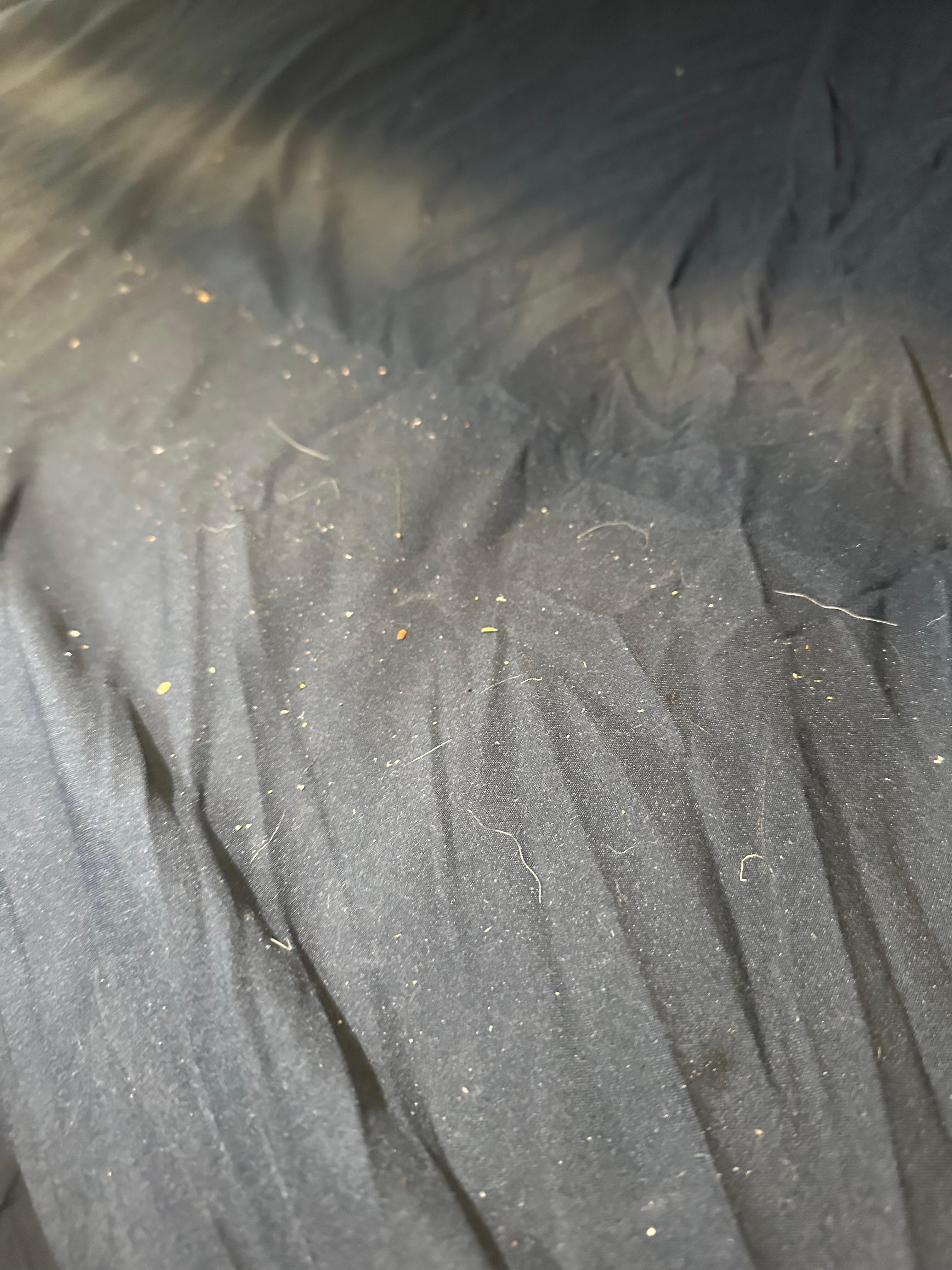 Unchanged bedding with dirt