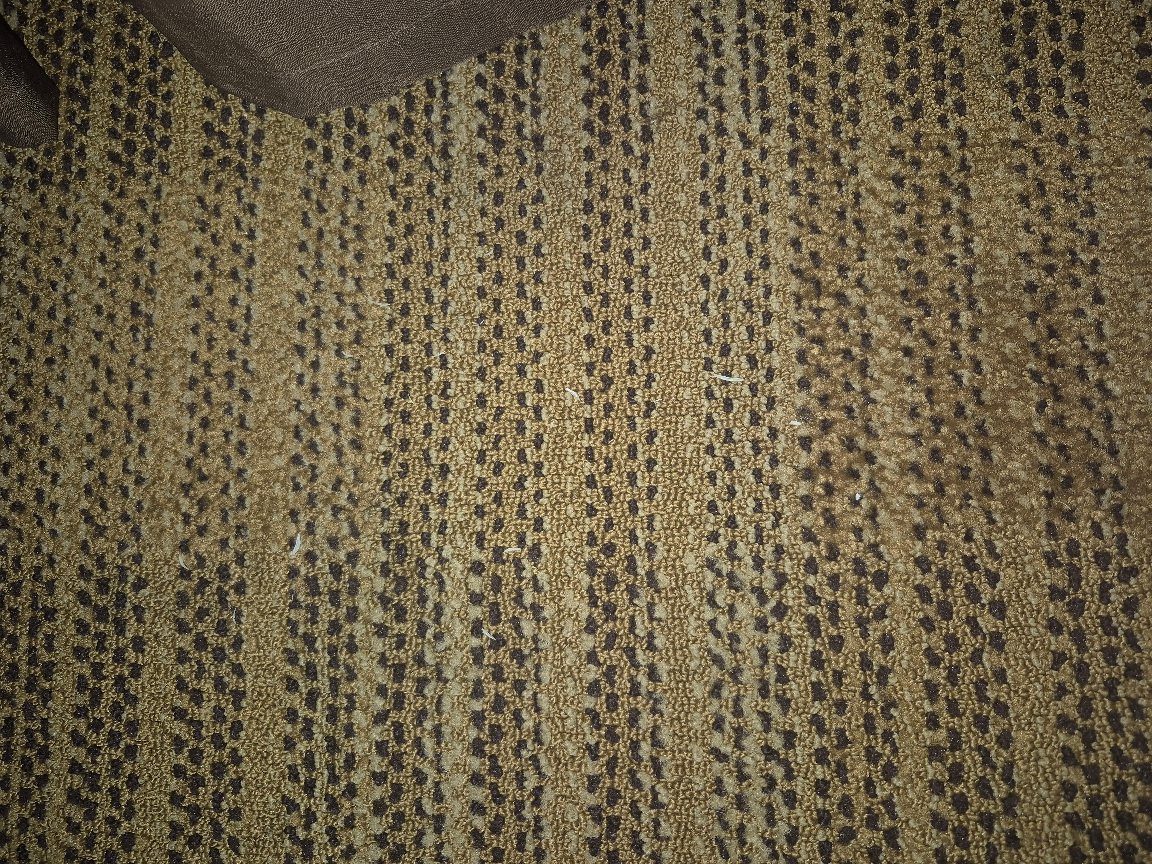 Toe nails 