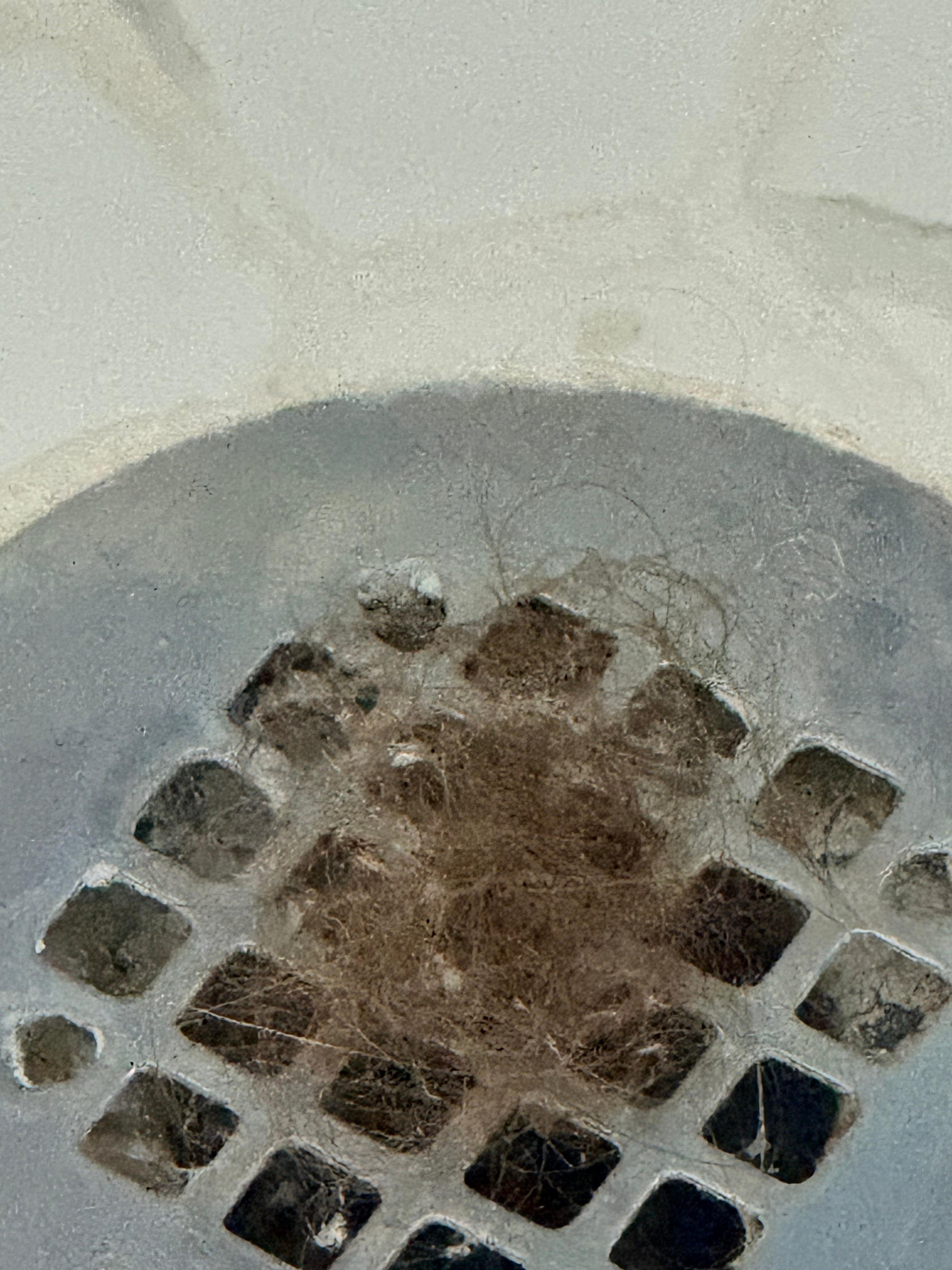 Shower not cleaned-hair in drain