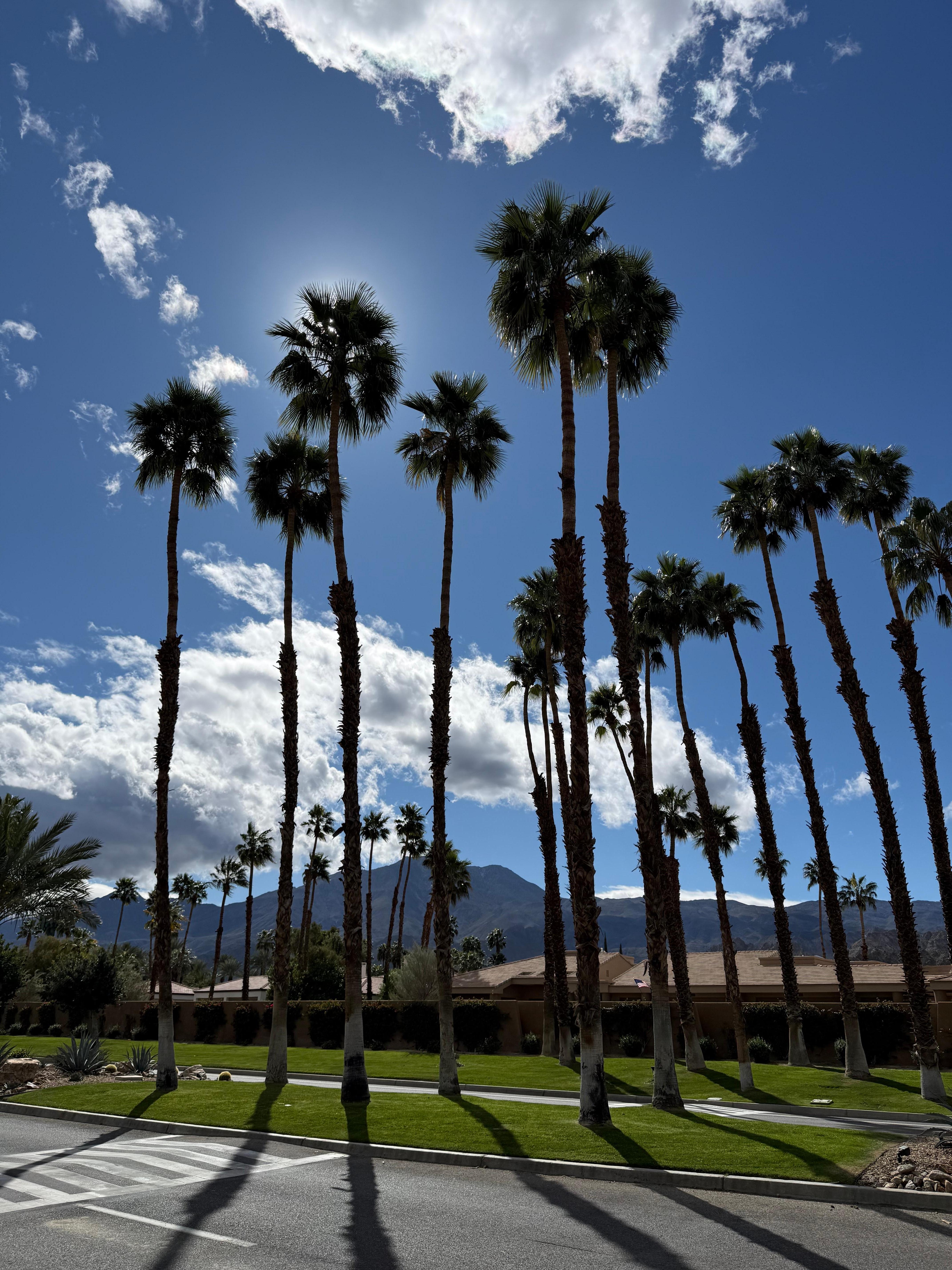 The drive in and views of paradise 