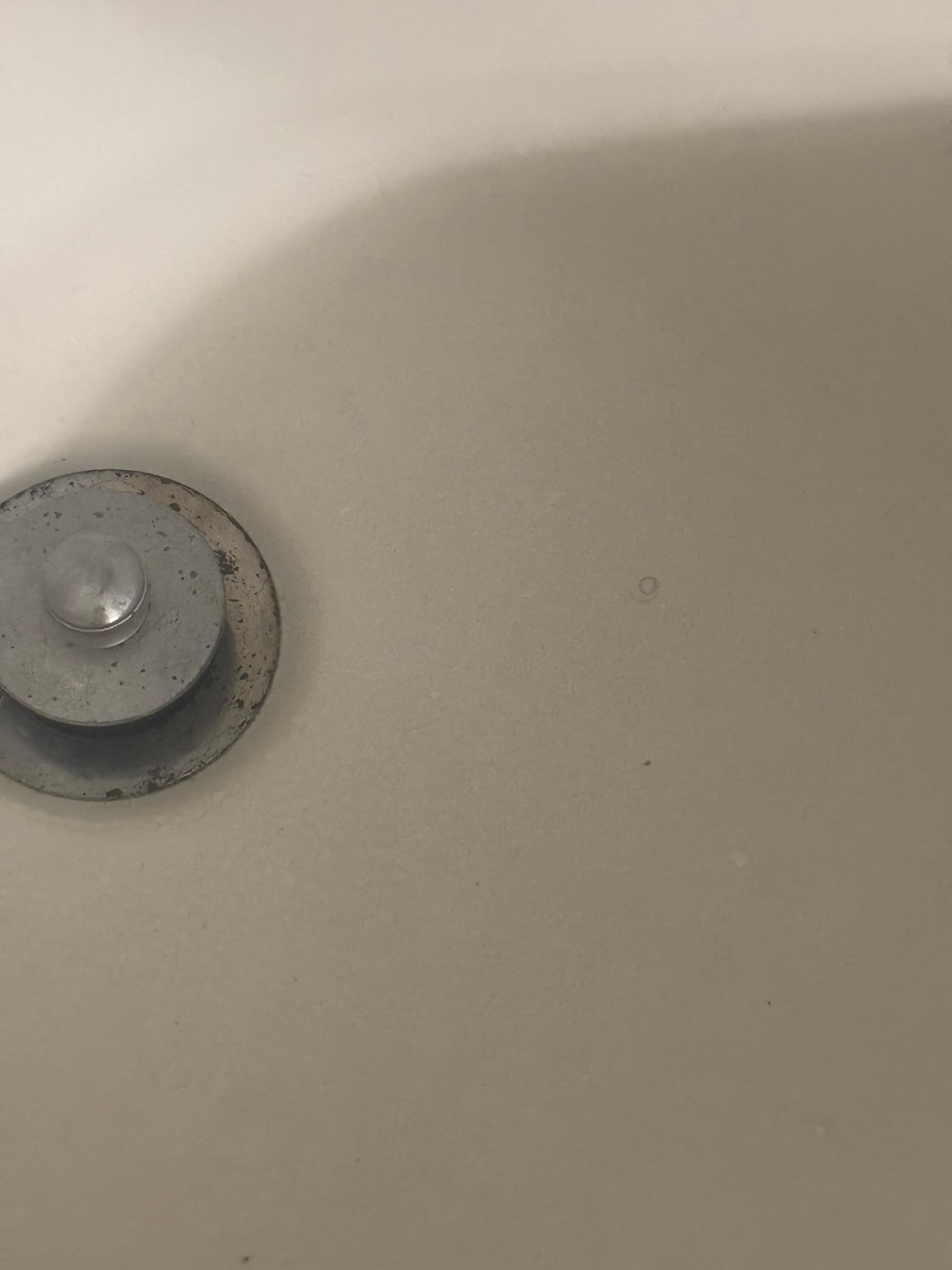 Hair in shower