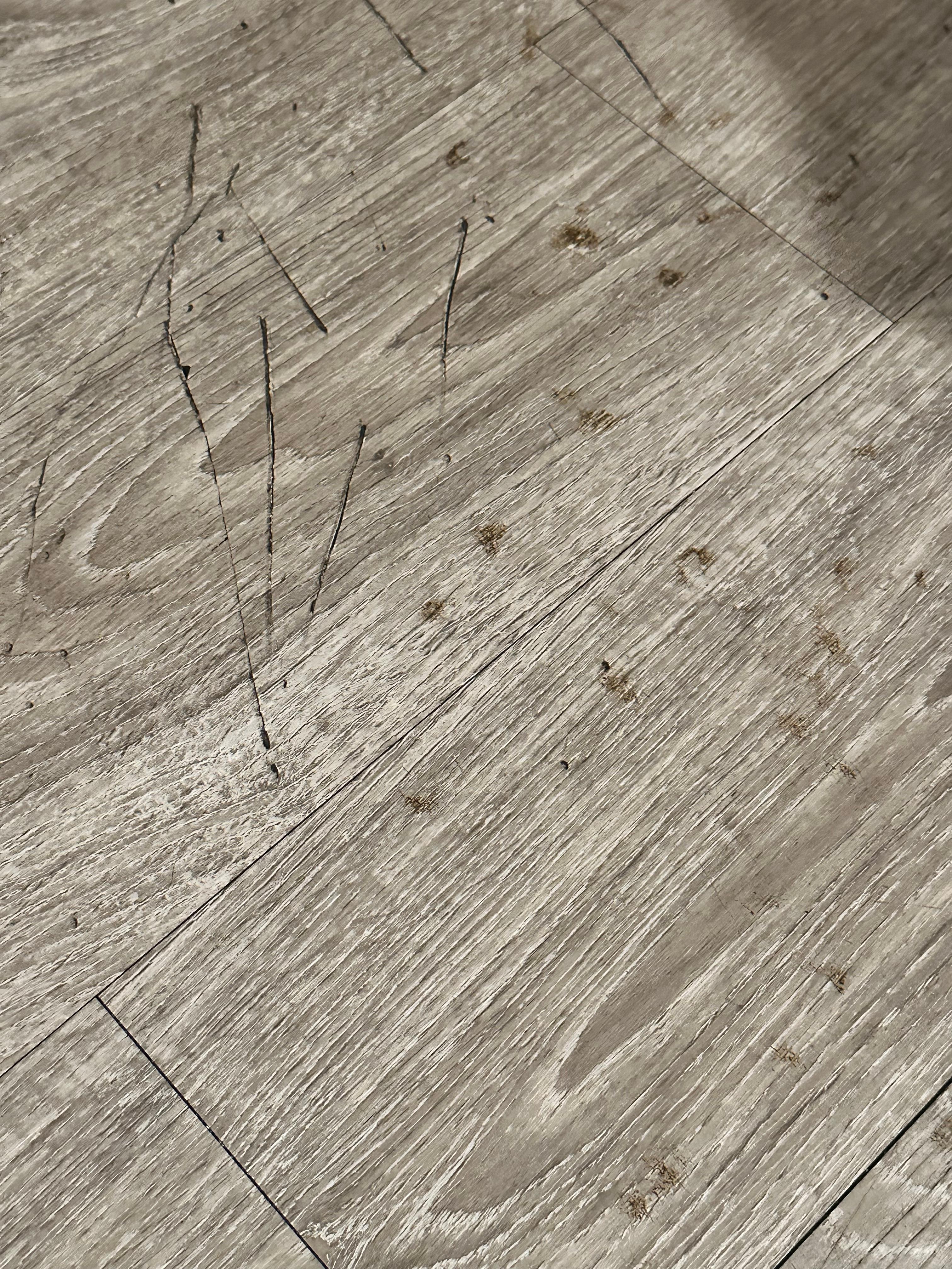 Bloodstains were everywhere; I don't know what happened.