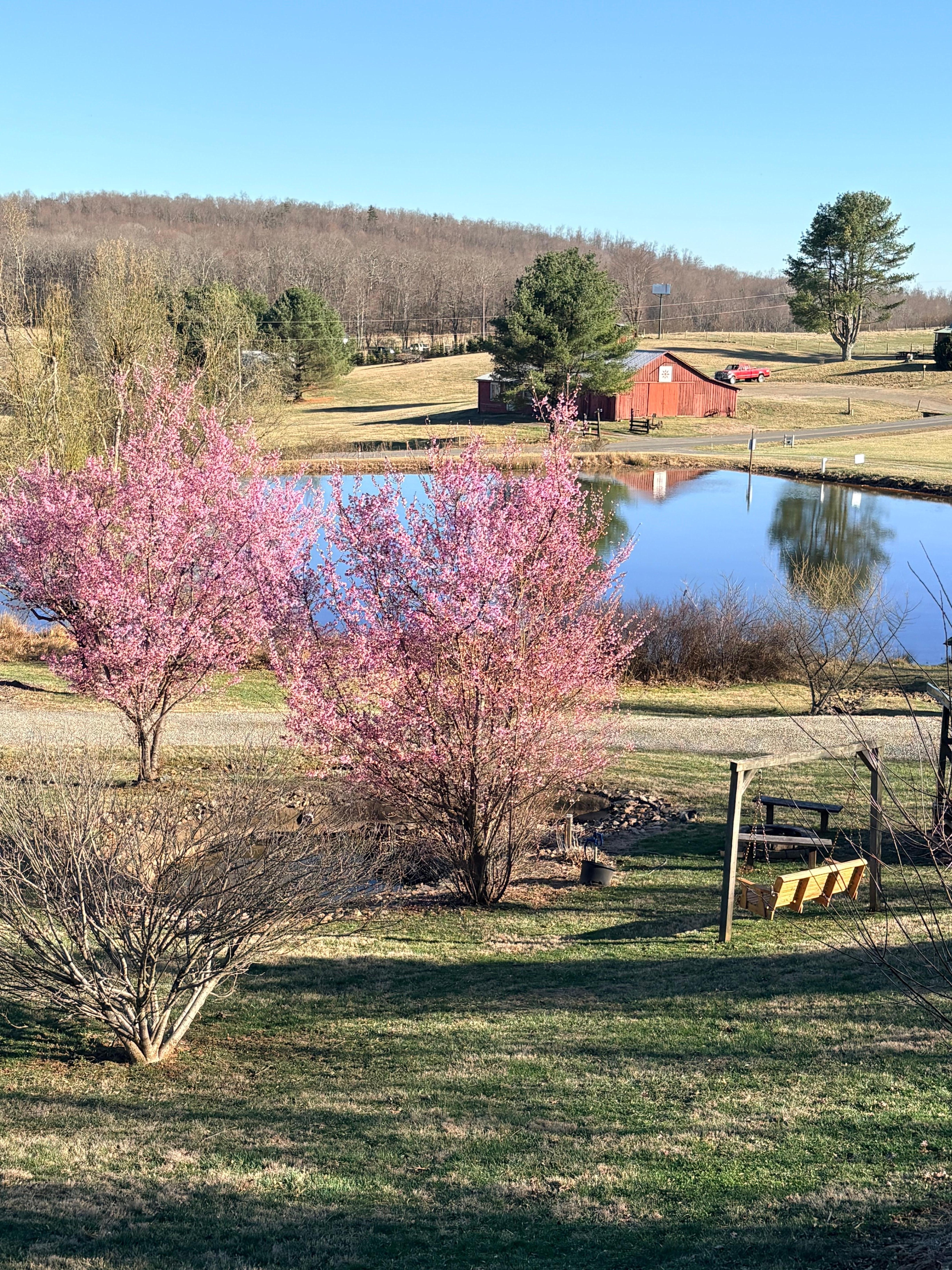 The pond on day 2 of our stay 77°F