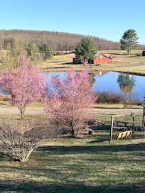 The pond on day 2 of our stay 77°F