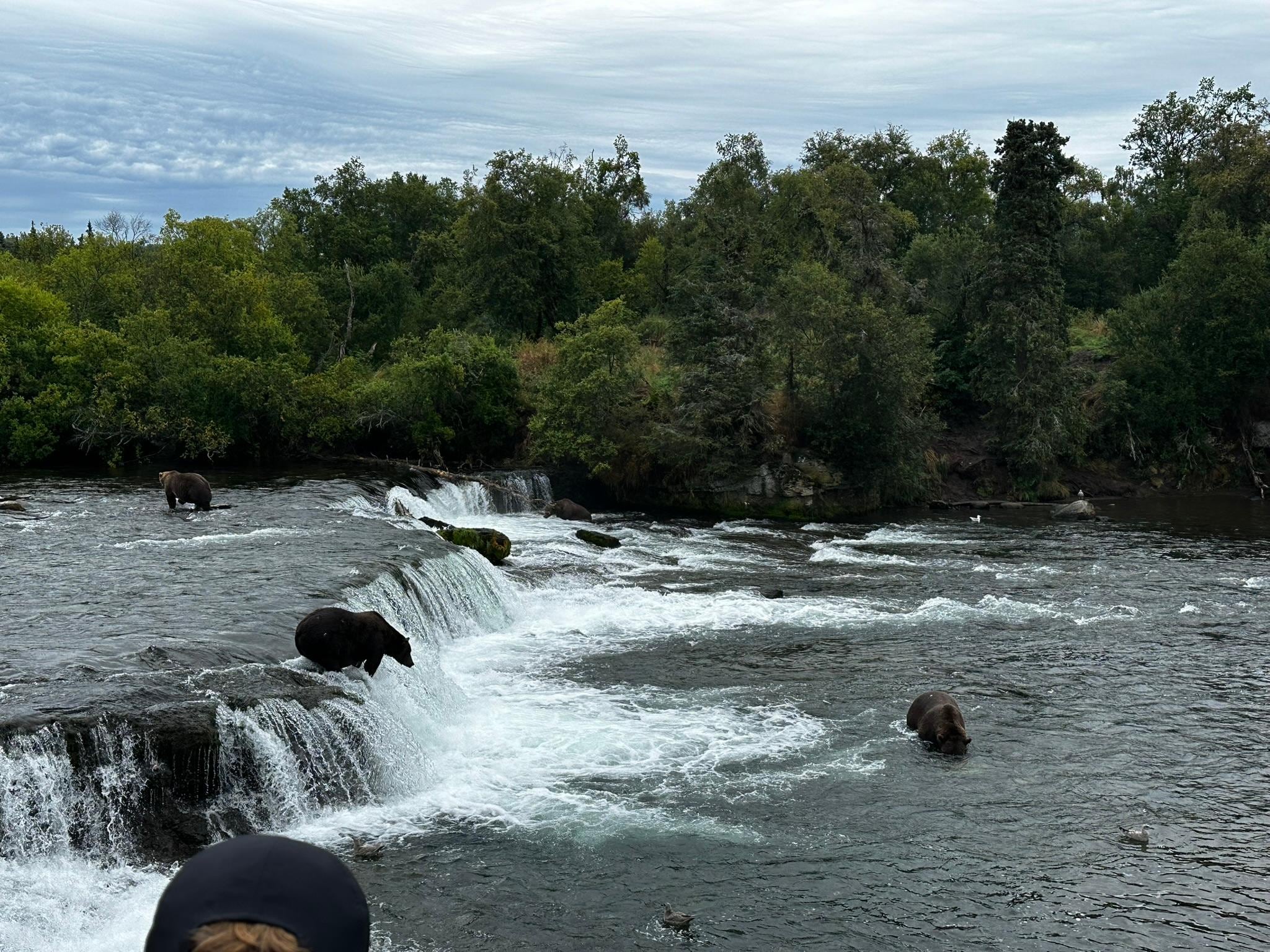 Brooks Falls, Katmai NP