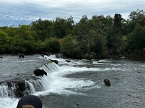 Brooks Falls, Katmai NP