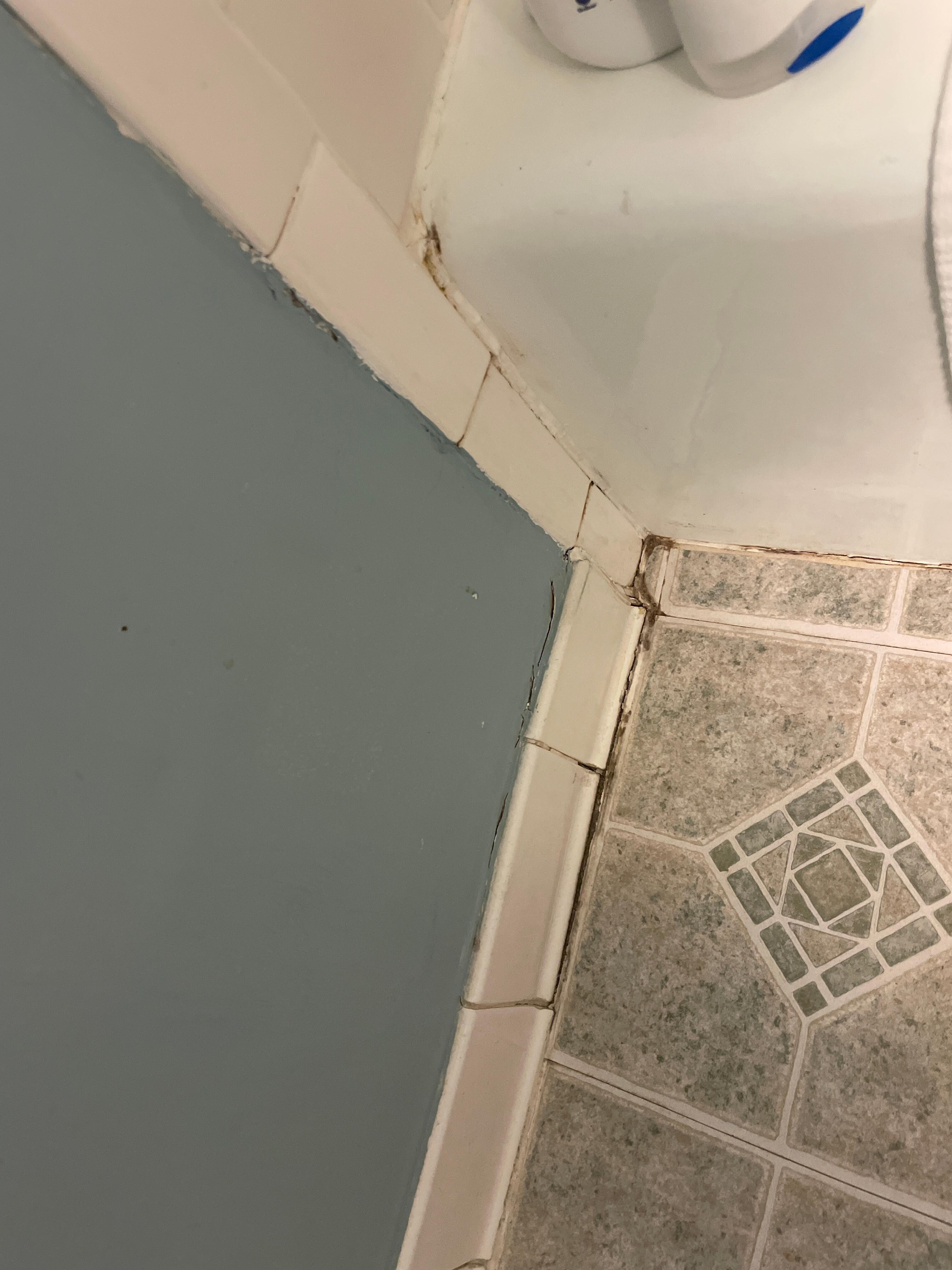Gross grime or mold in the bathroom.