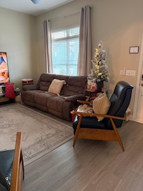 The home wouldn't be decorated for the holidays so we brought a small tree.