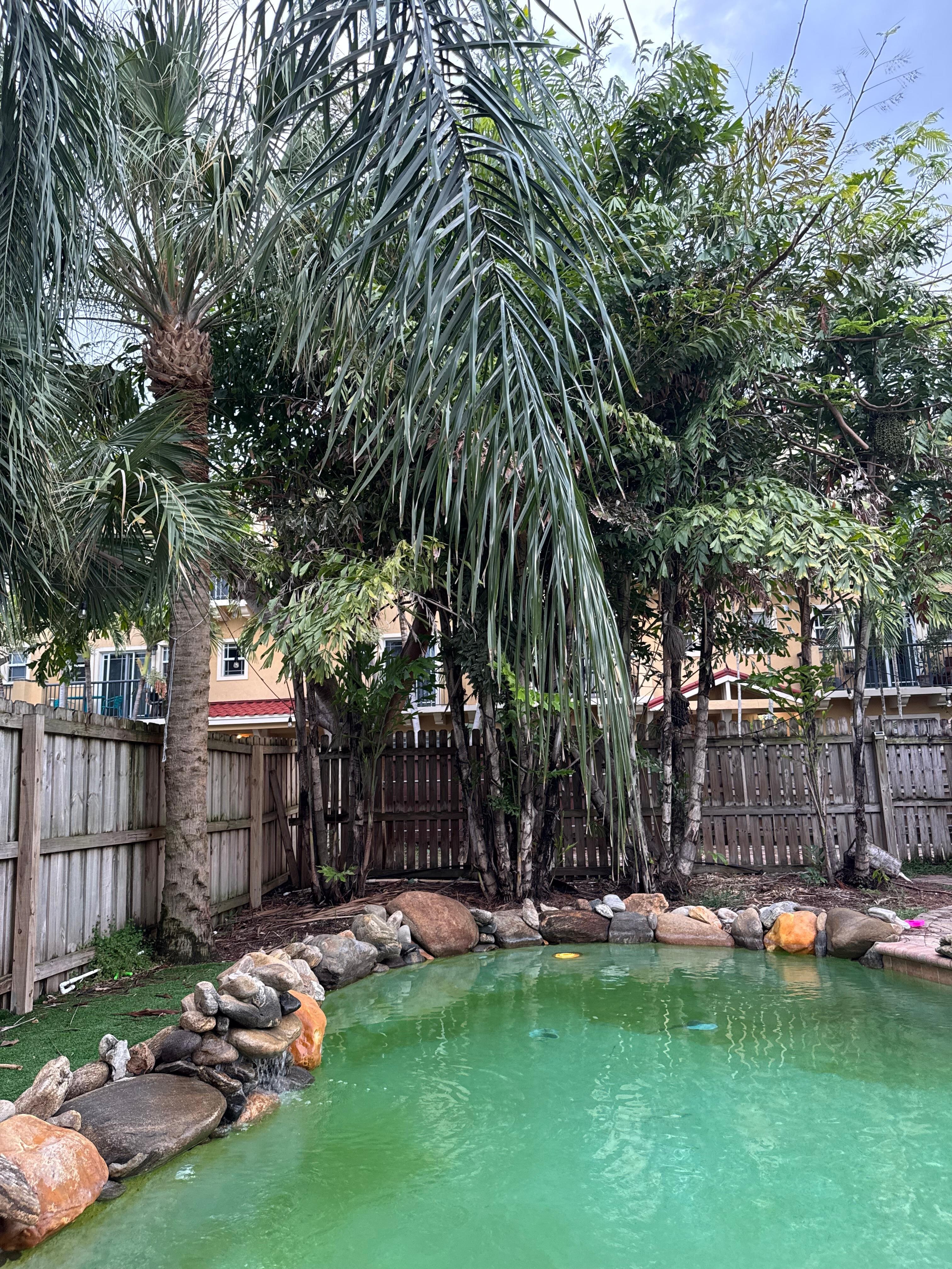 Pool was green upon arrival 