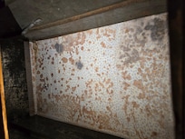 Mold