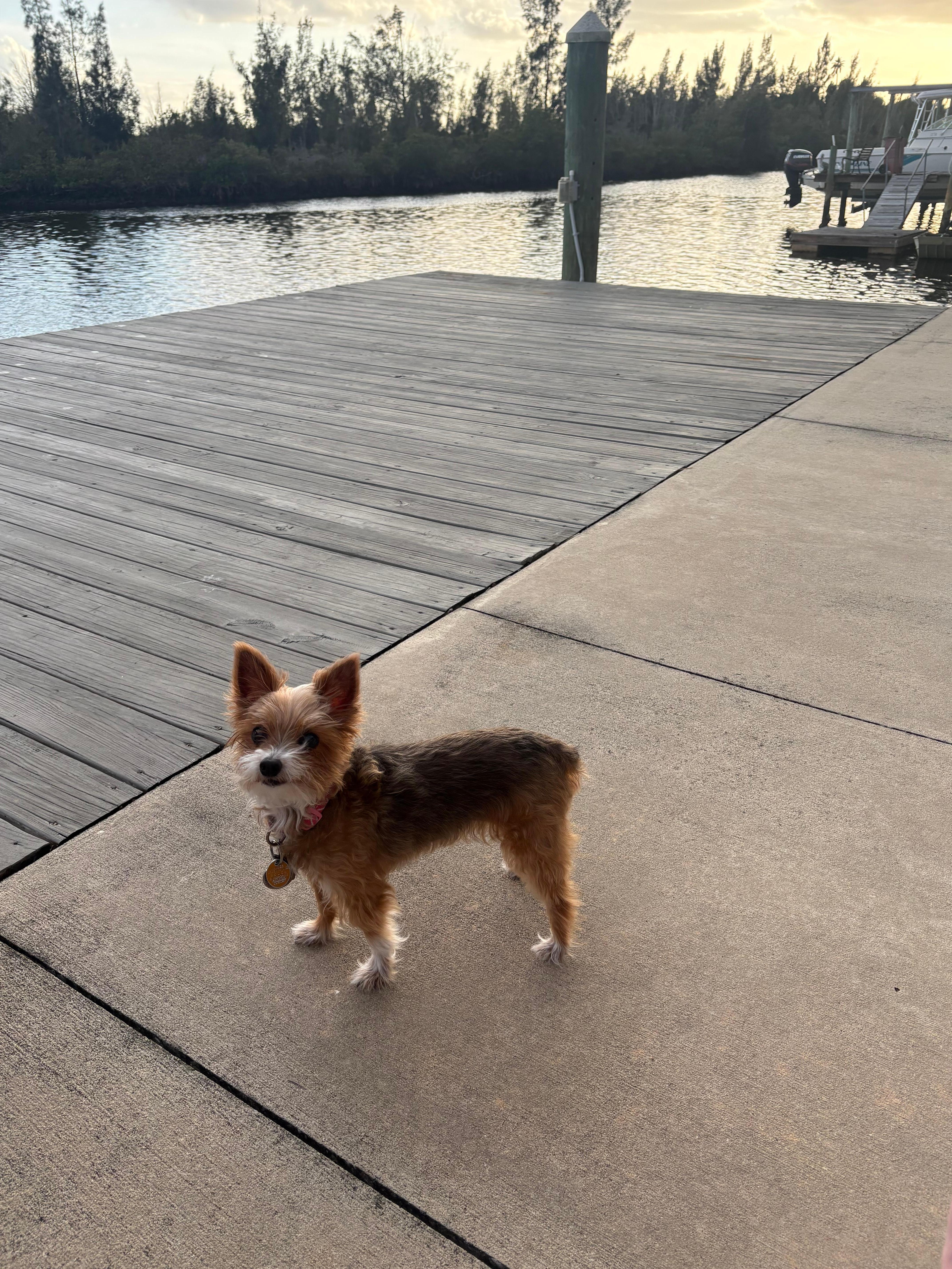 Bella - she had a great time!