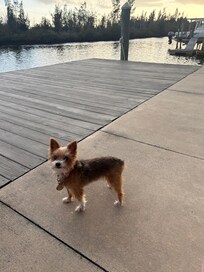 Bella - she had a great time!