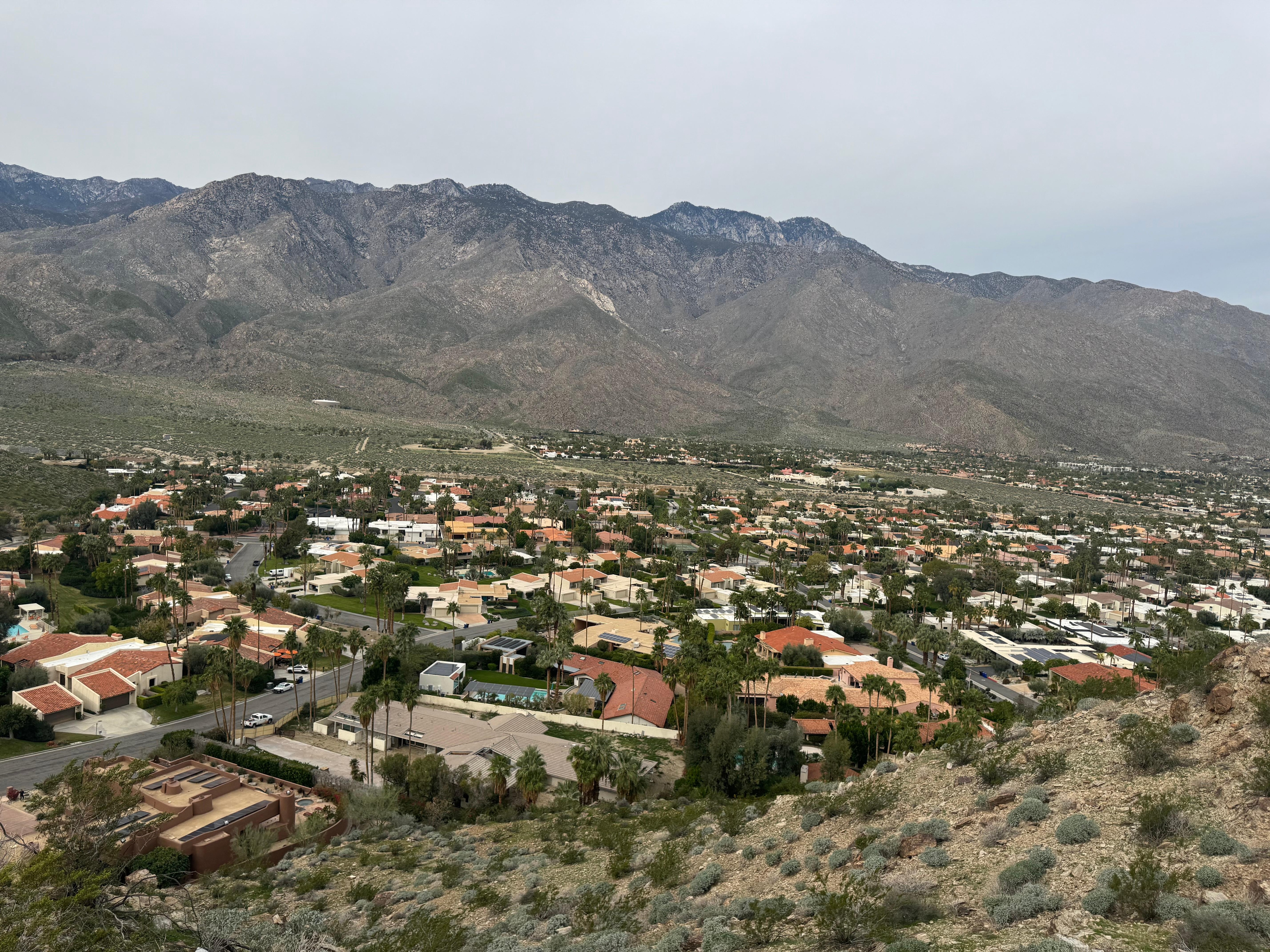 View from hike in the neighborhood 