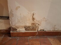 Mold on walls