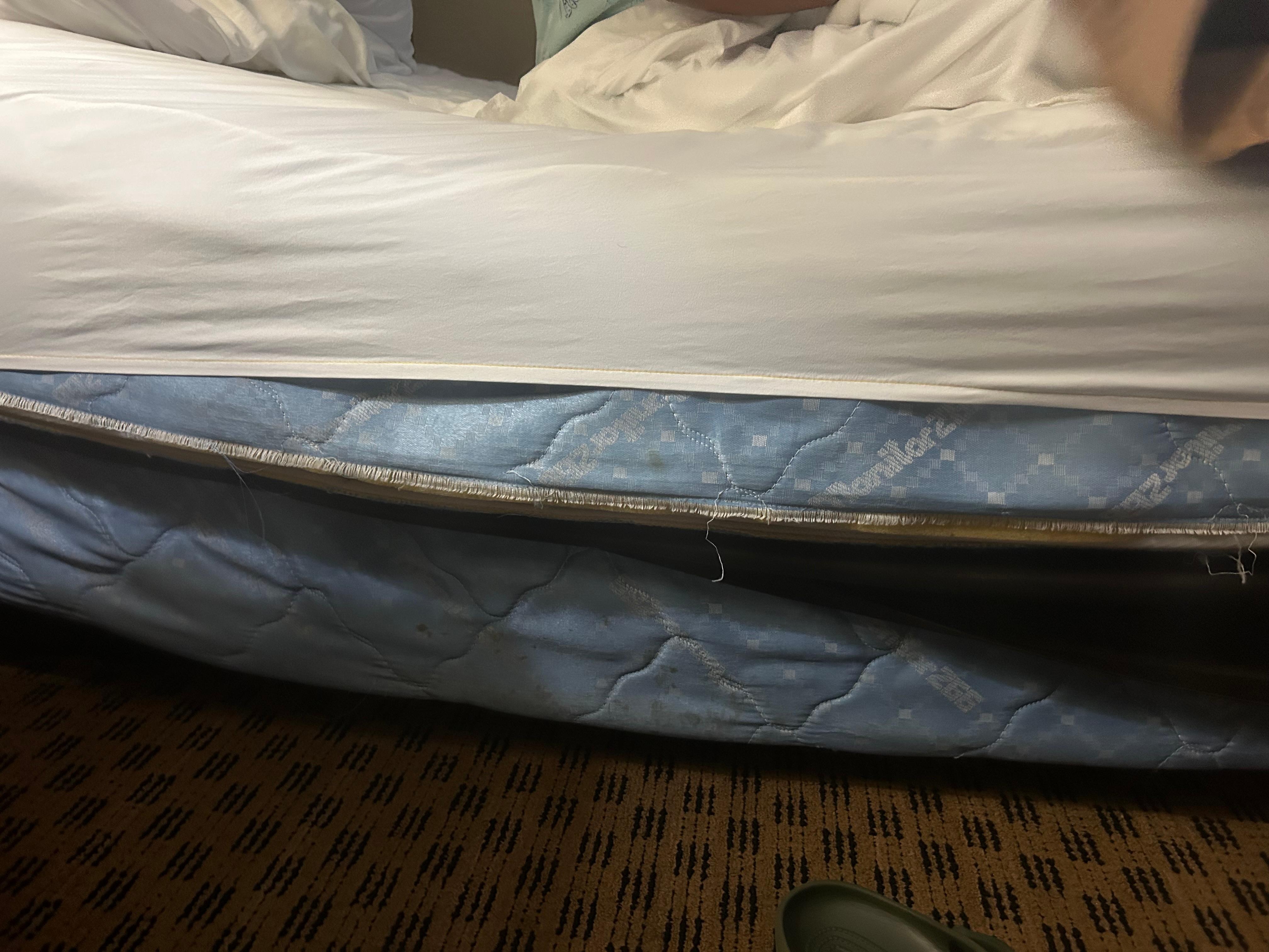 The worst bed I’ve ever slept in!! EVER!!