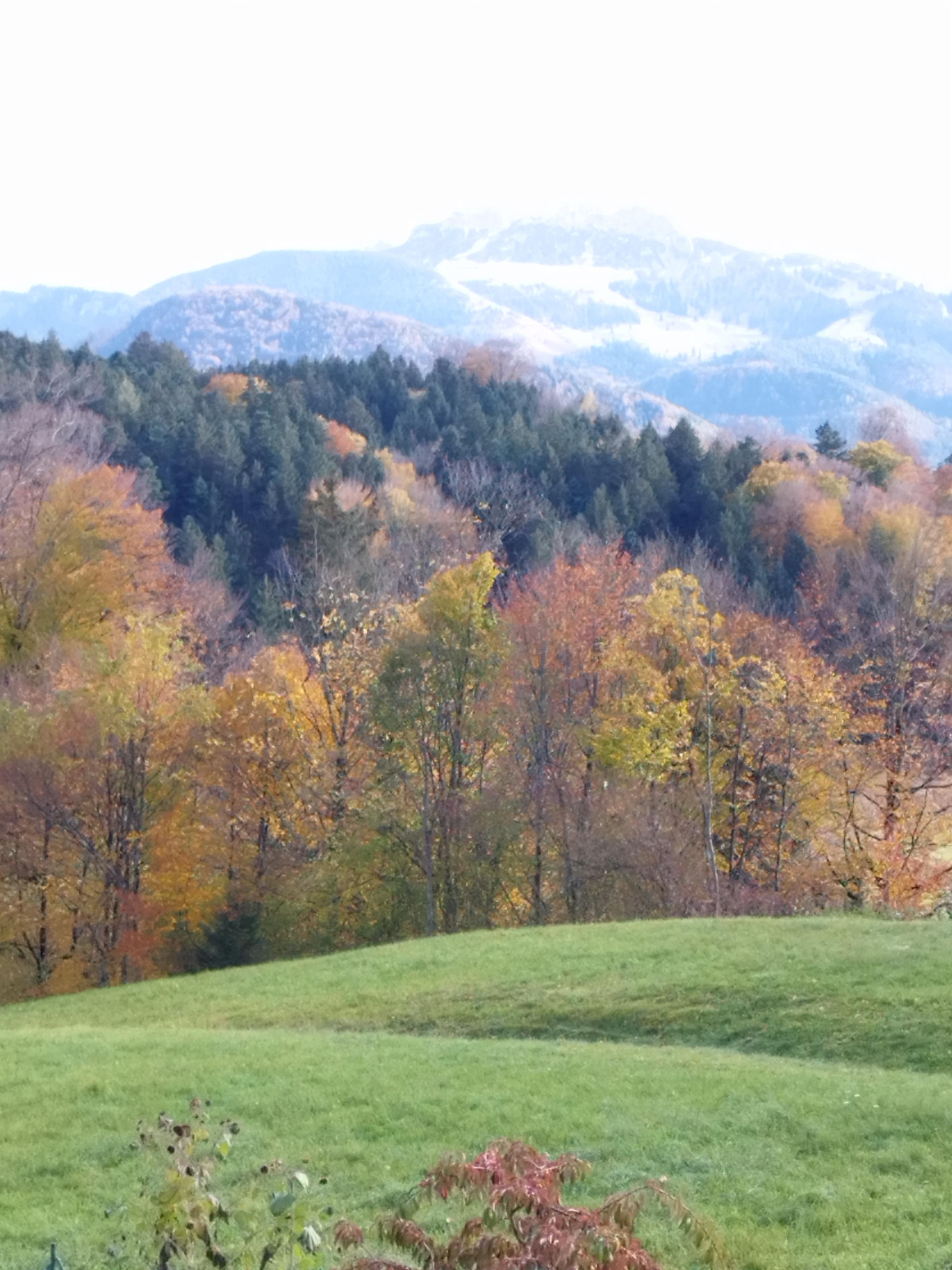 Blick aus der Unterkunft zur Kampenwand