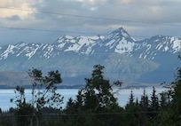 View from living room