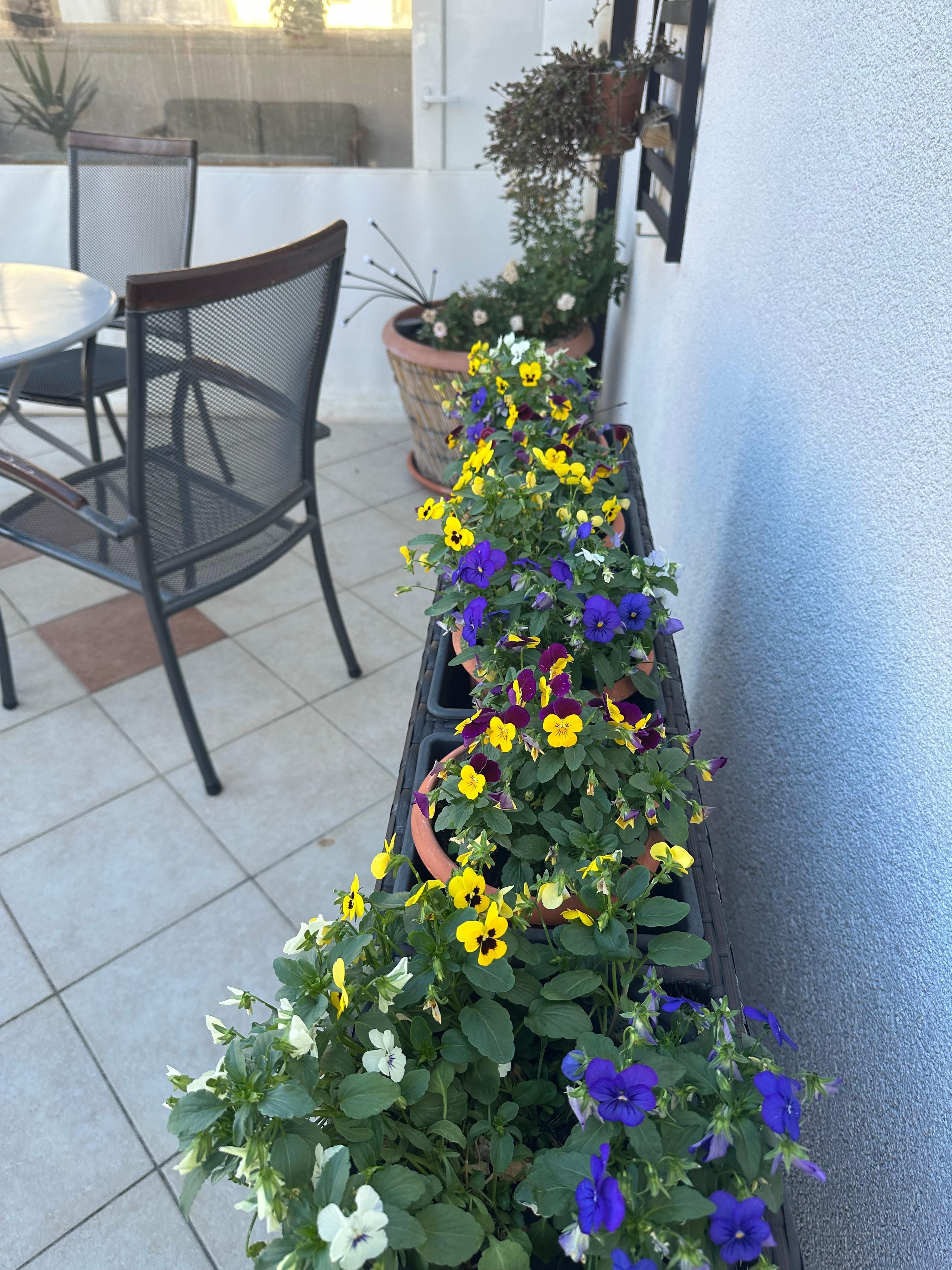 The apartment balcony