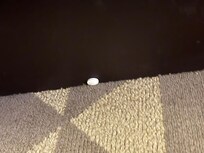 Random pill on the floor in our room.