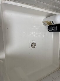Bugs in shower