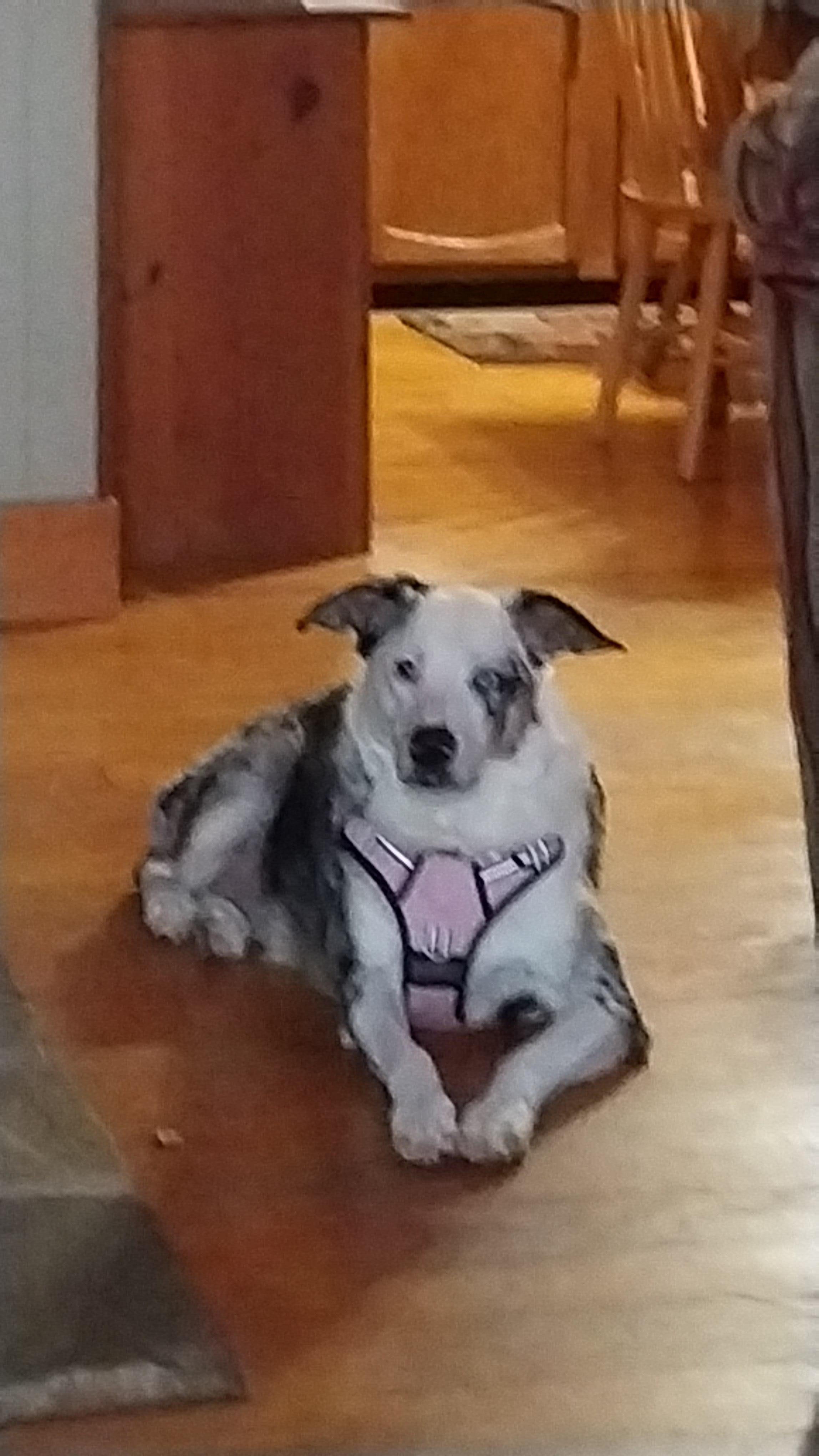 Ellie favorite spot.