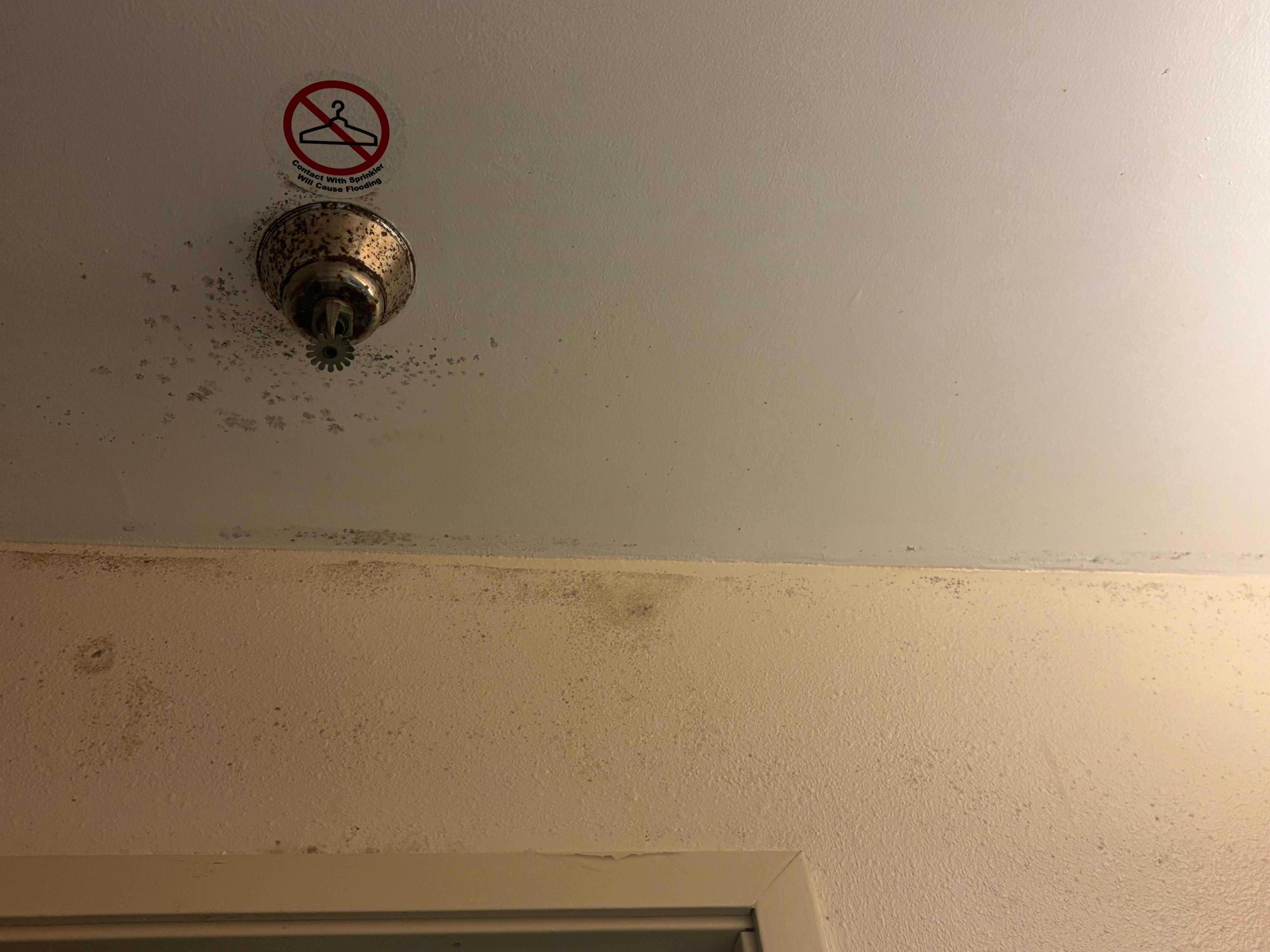 Mold on second room’s ceiling.