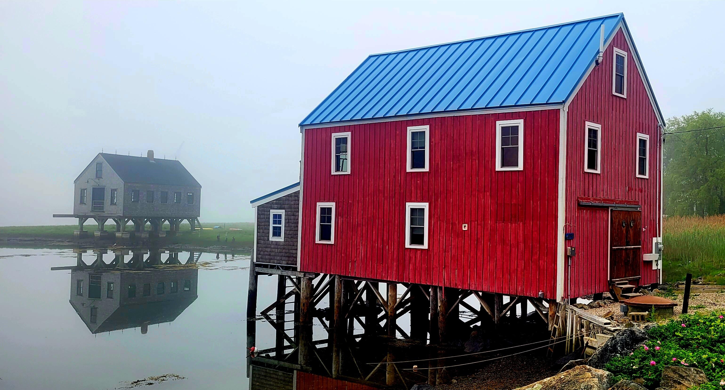 Cape Porpoise 