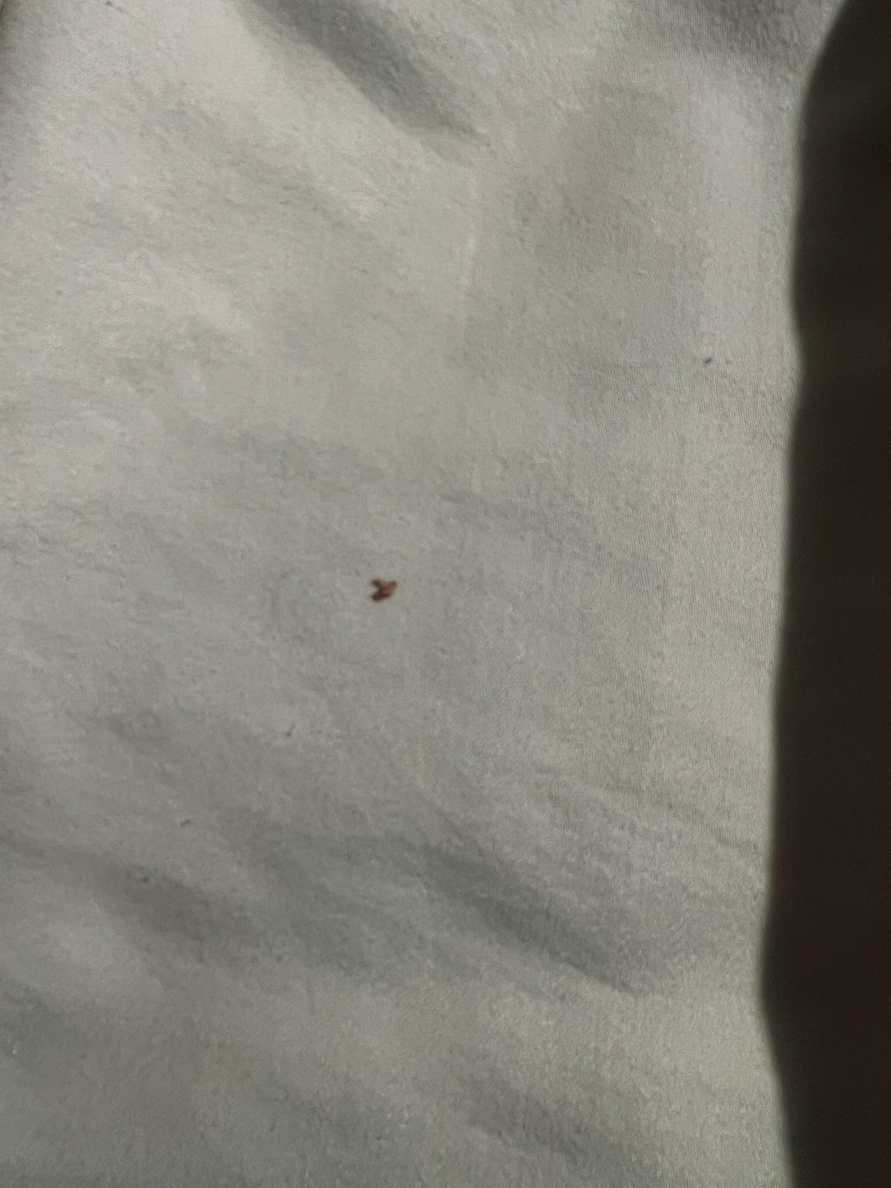 Crumbs in bed