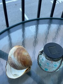 Clam shell we found at low tide