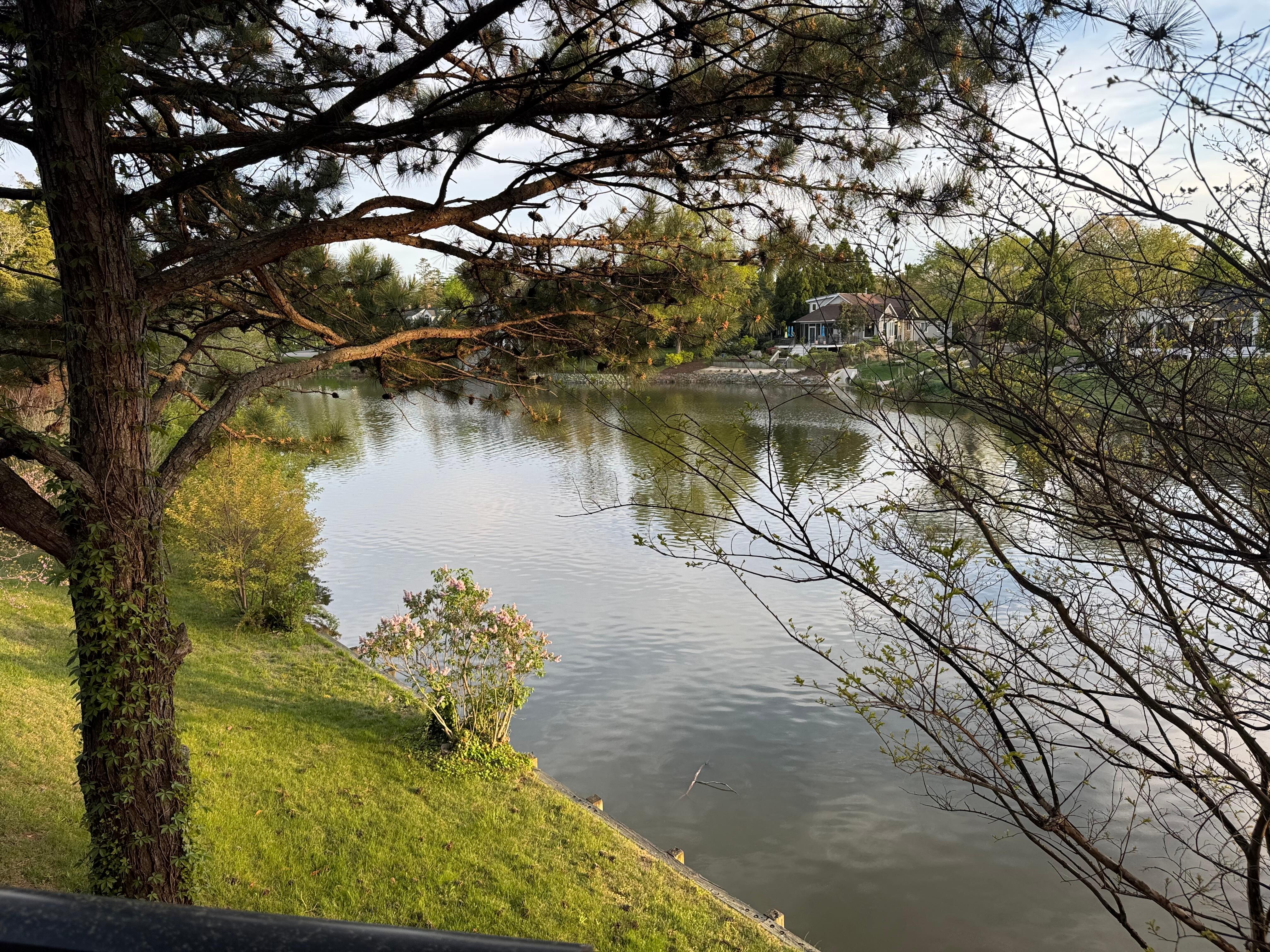  View of fenced in yard 