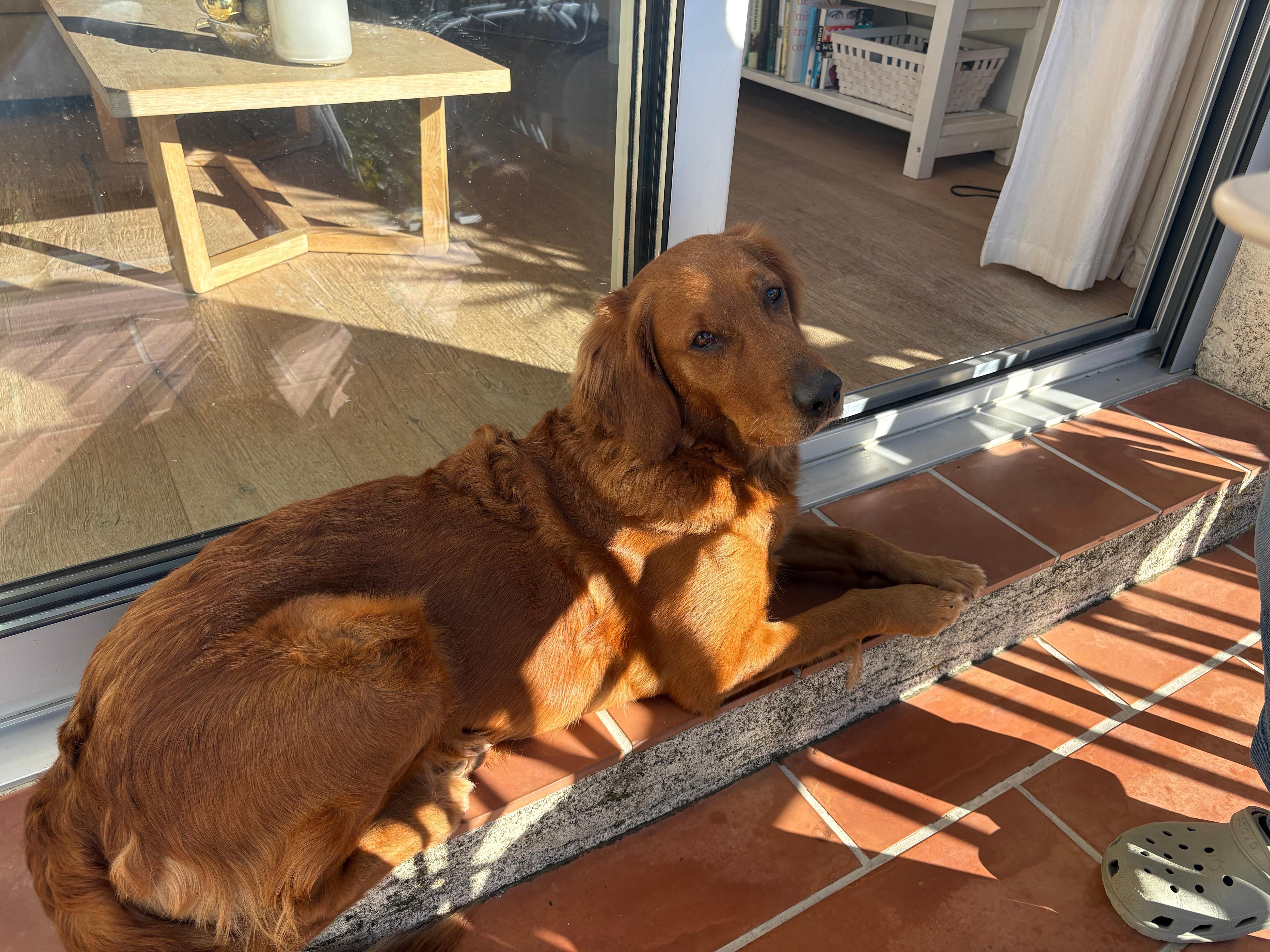 Unsere Leni hat sich auch sehr wohl gefühlt. Vielen Dank 🙏🏽 für den netten Empfang! 