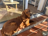 Unsere Leni hat sich auch sehr wohl gefühlt. Vielen Dank 🙏🏽 für den netten Empfang!