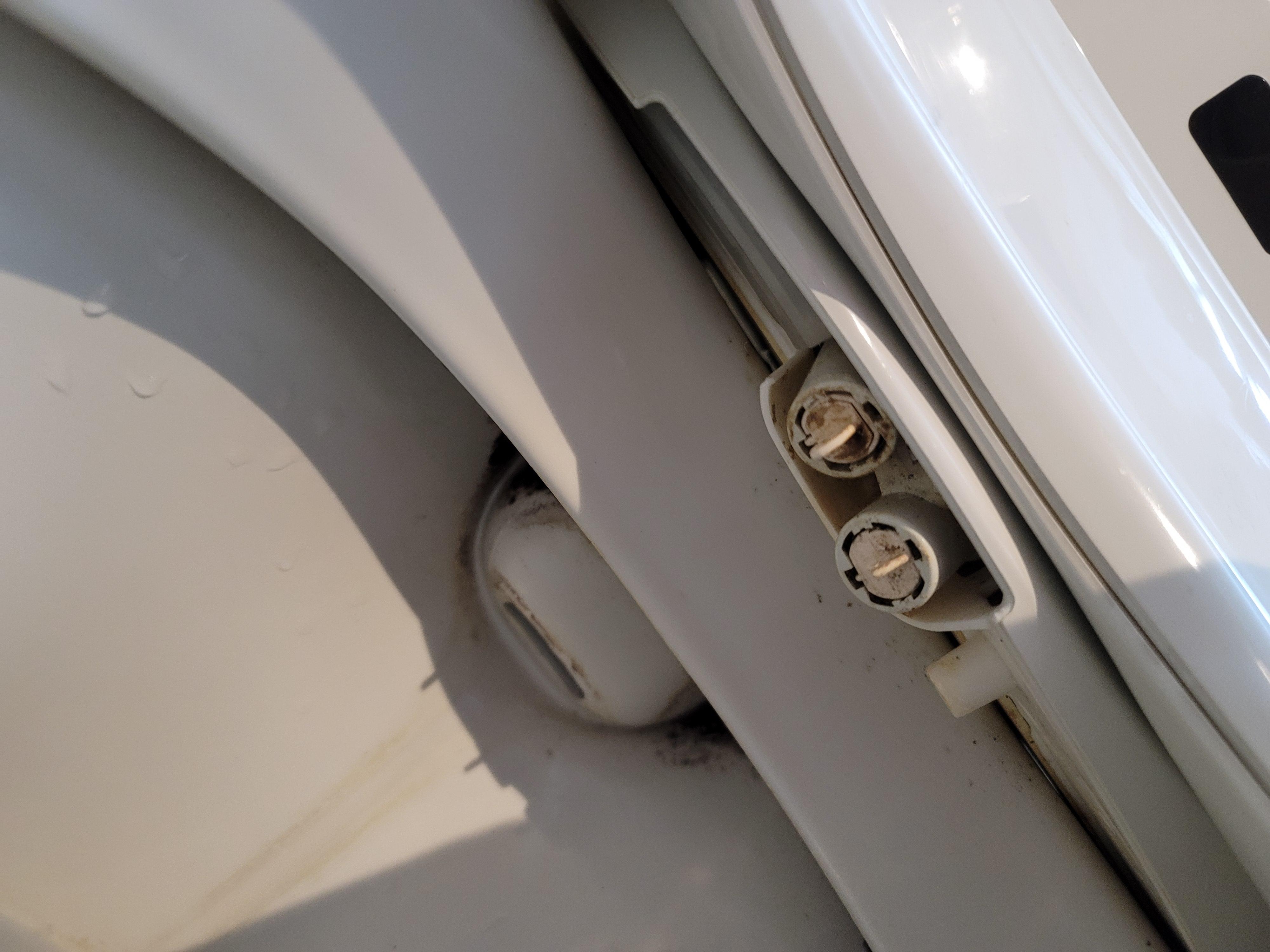 Bidet with feces and black mold