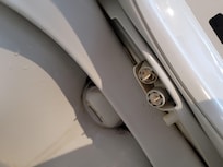 Bidet with feces and black mold