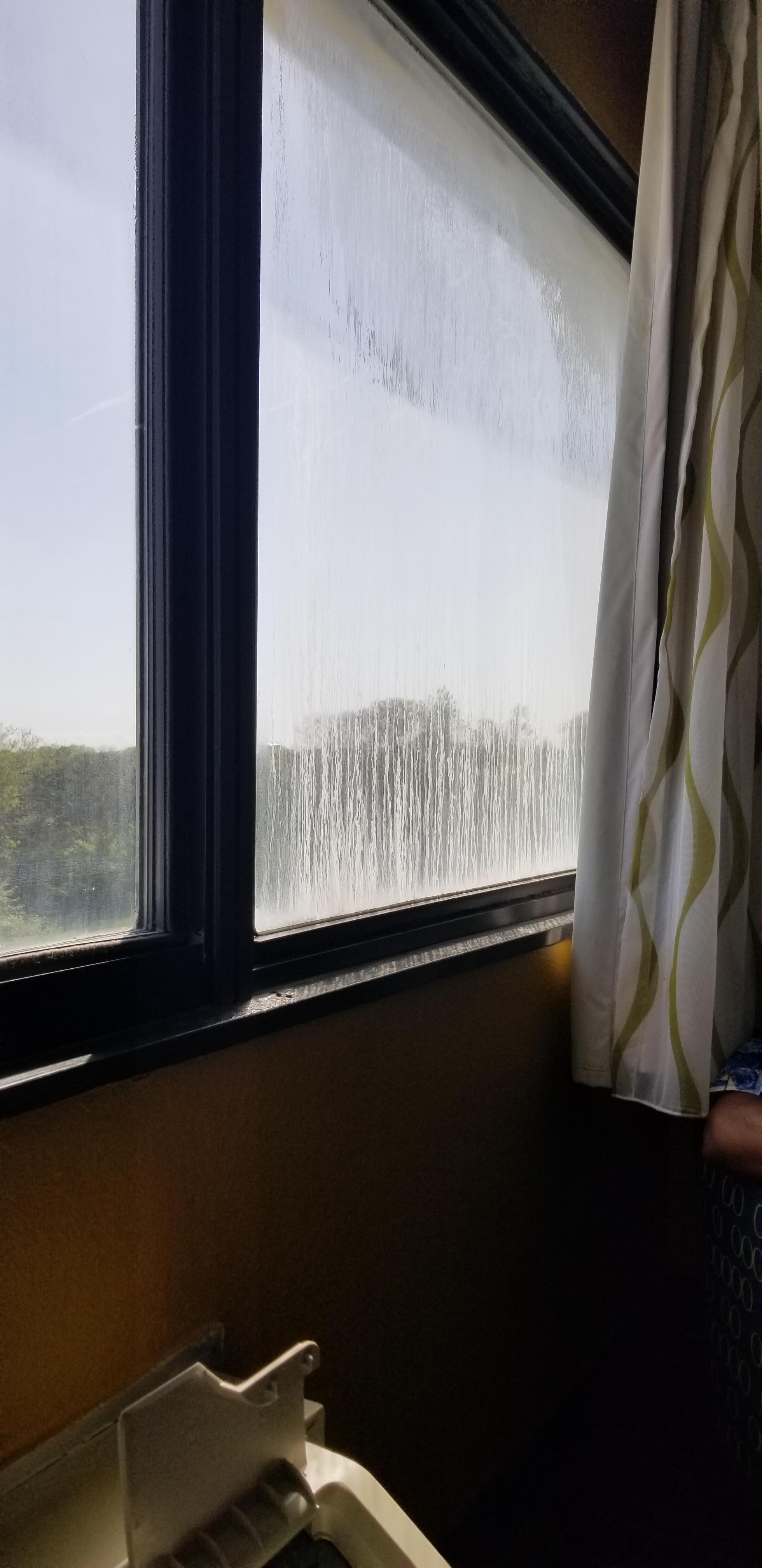 Windows so dirty you cant look out