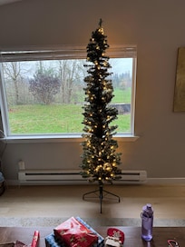 A Christmas tree was provided upon request!