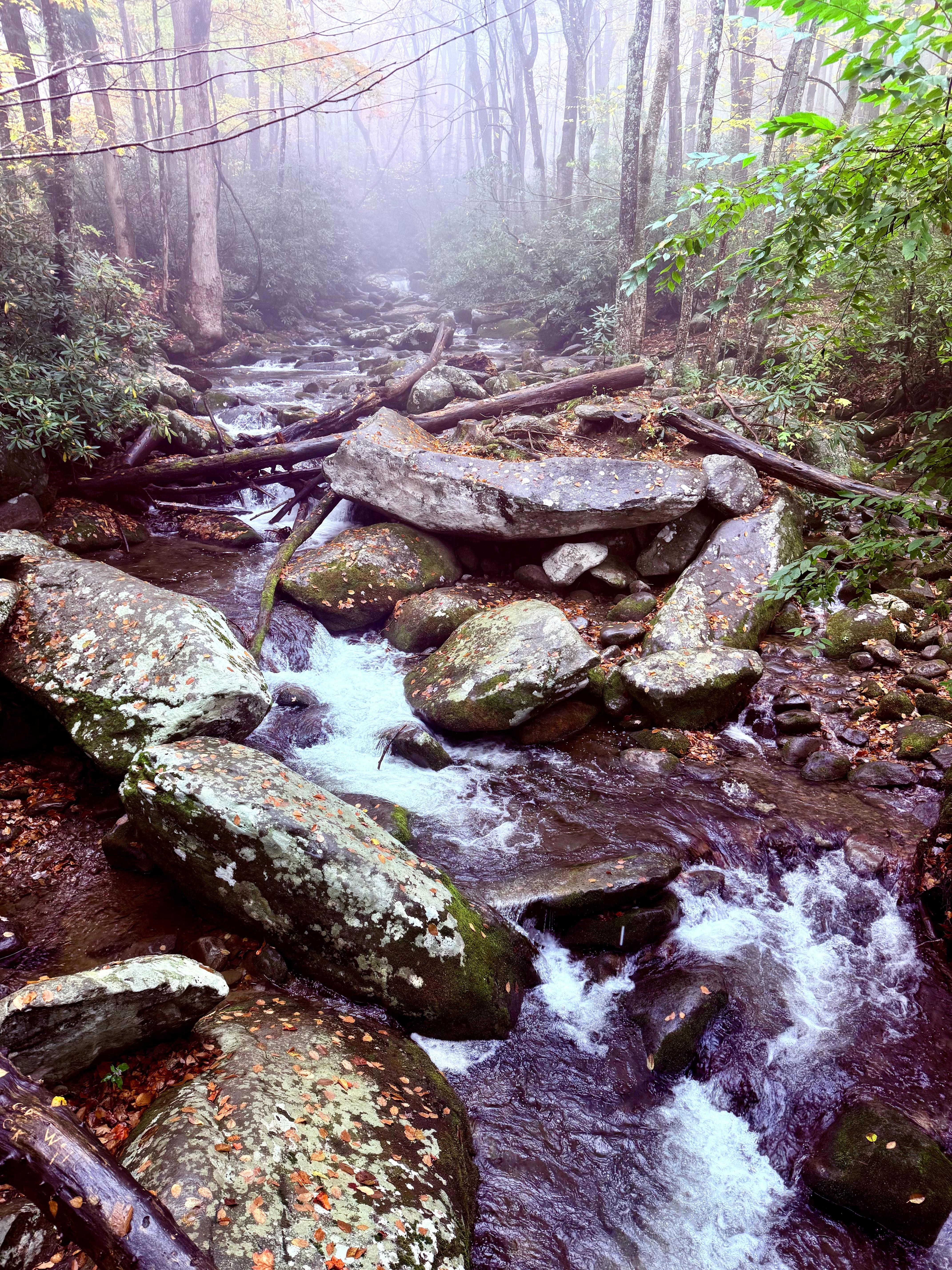 Roaring Fork Drive in the rain.