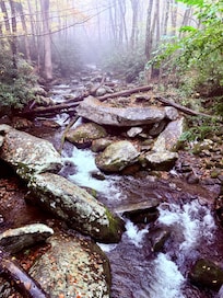 Roaring Fork Drive in the rain.