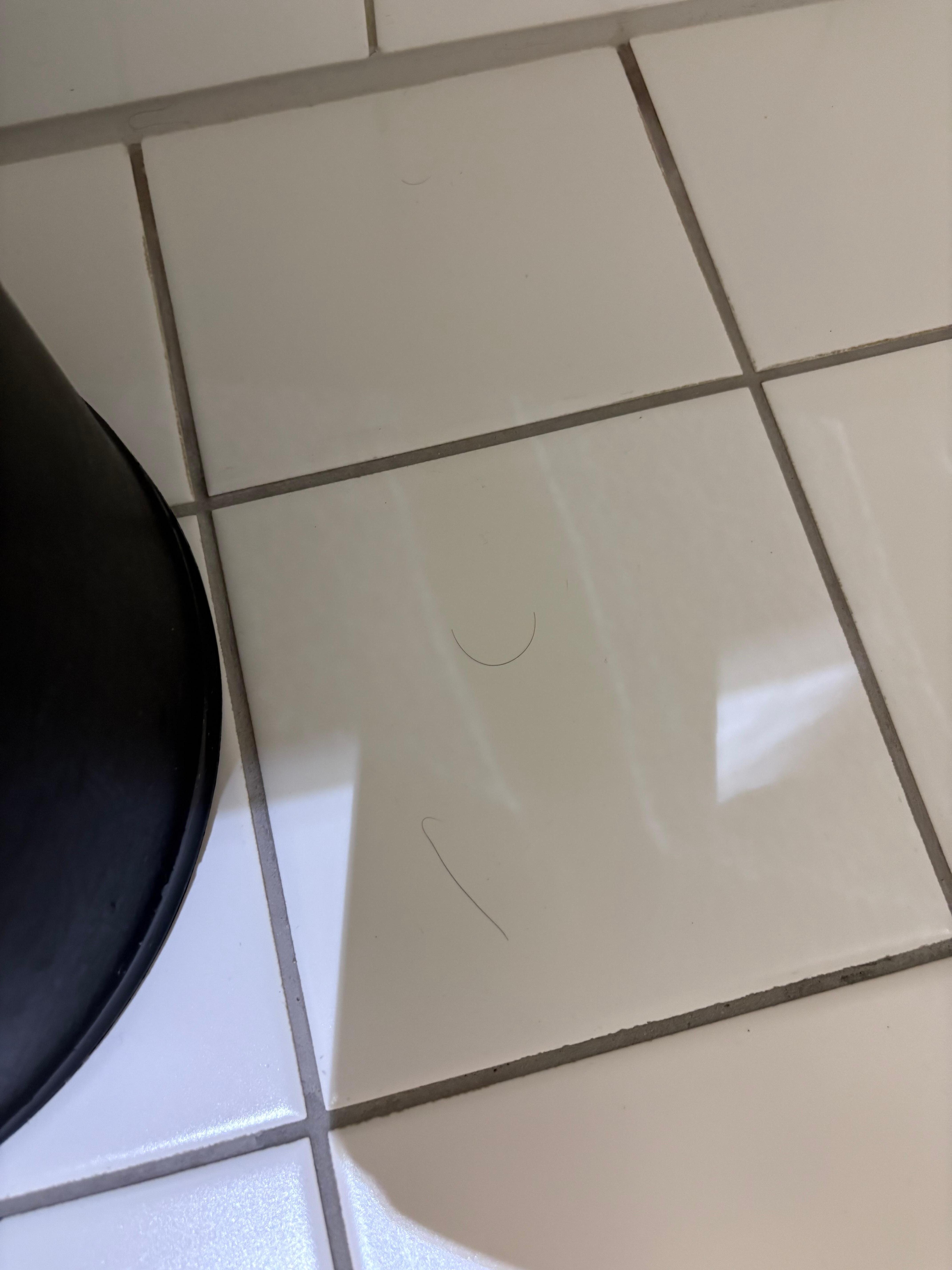 Floor Hair