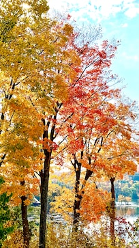 Early October fall colours visible from common dining area.