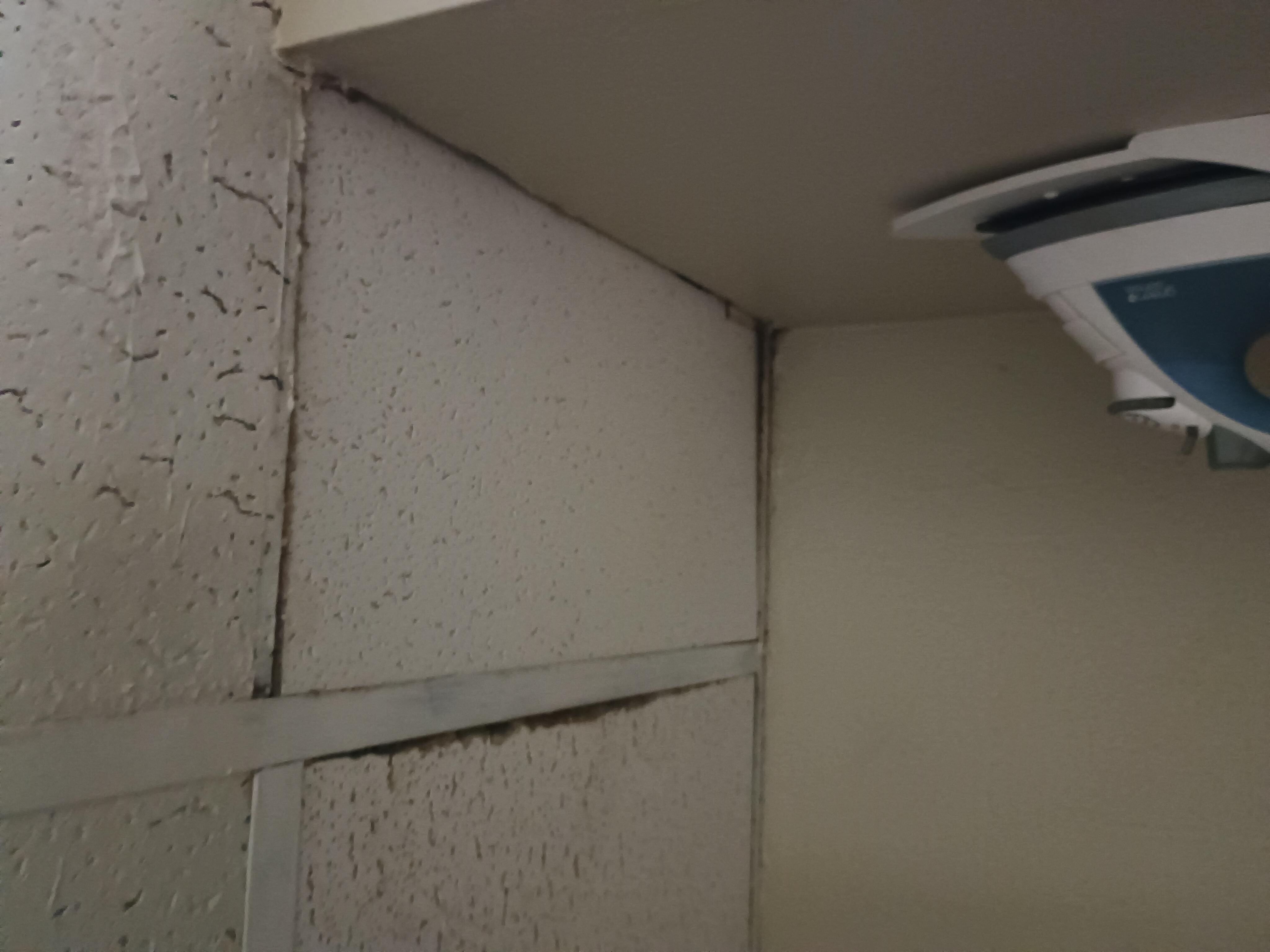 Mold on ceiling tile