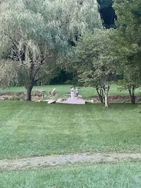 Backyard view