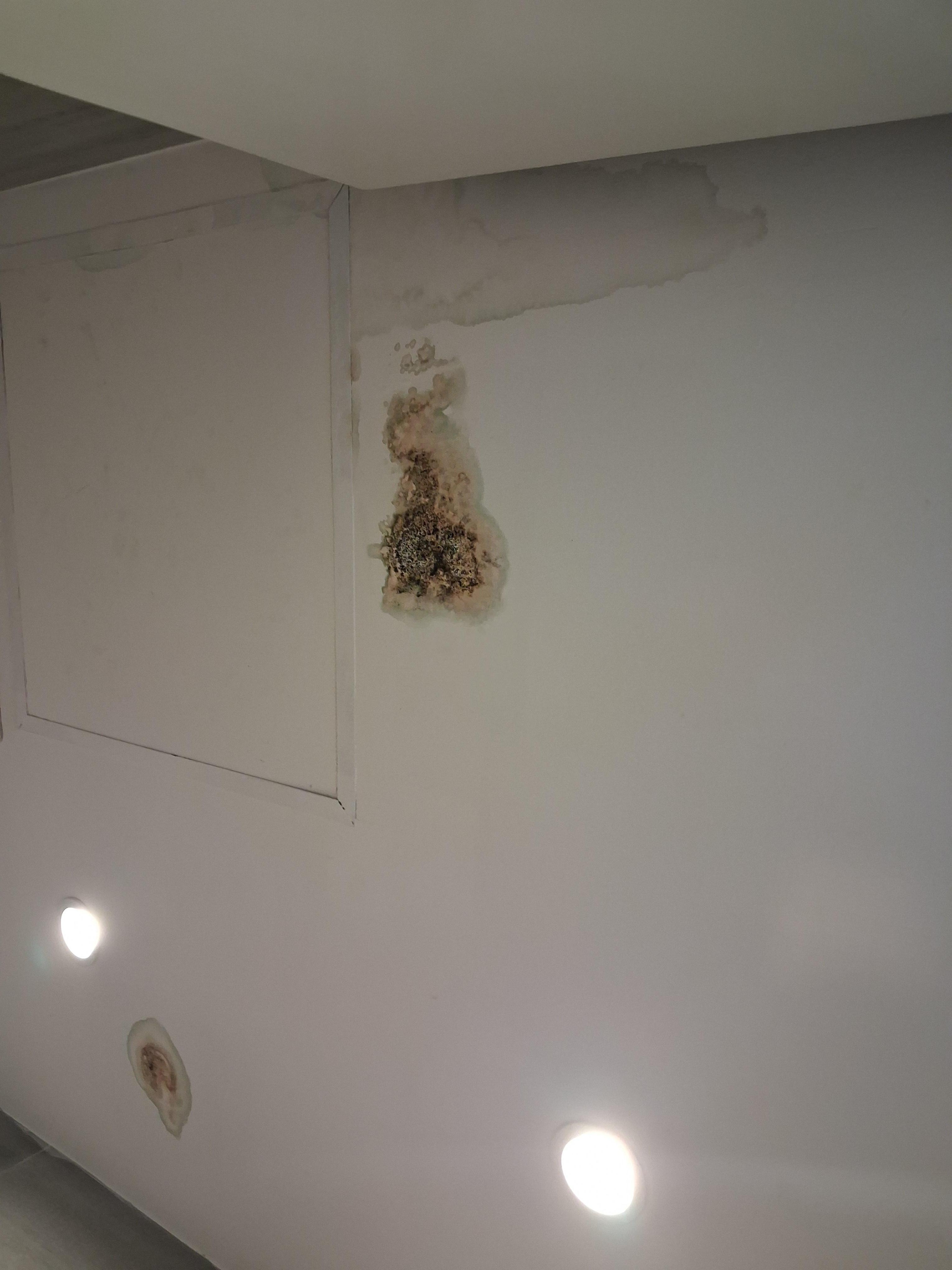 Mold in bathroom - appears to be the result of  leaking plumbing from the apartment above.