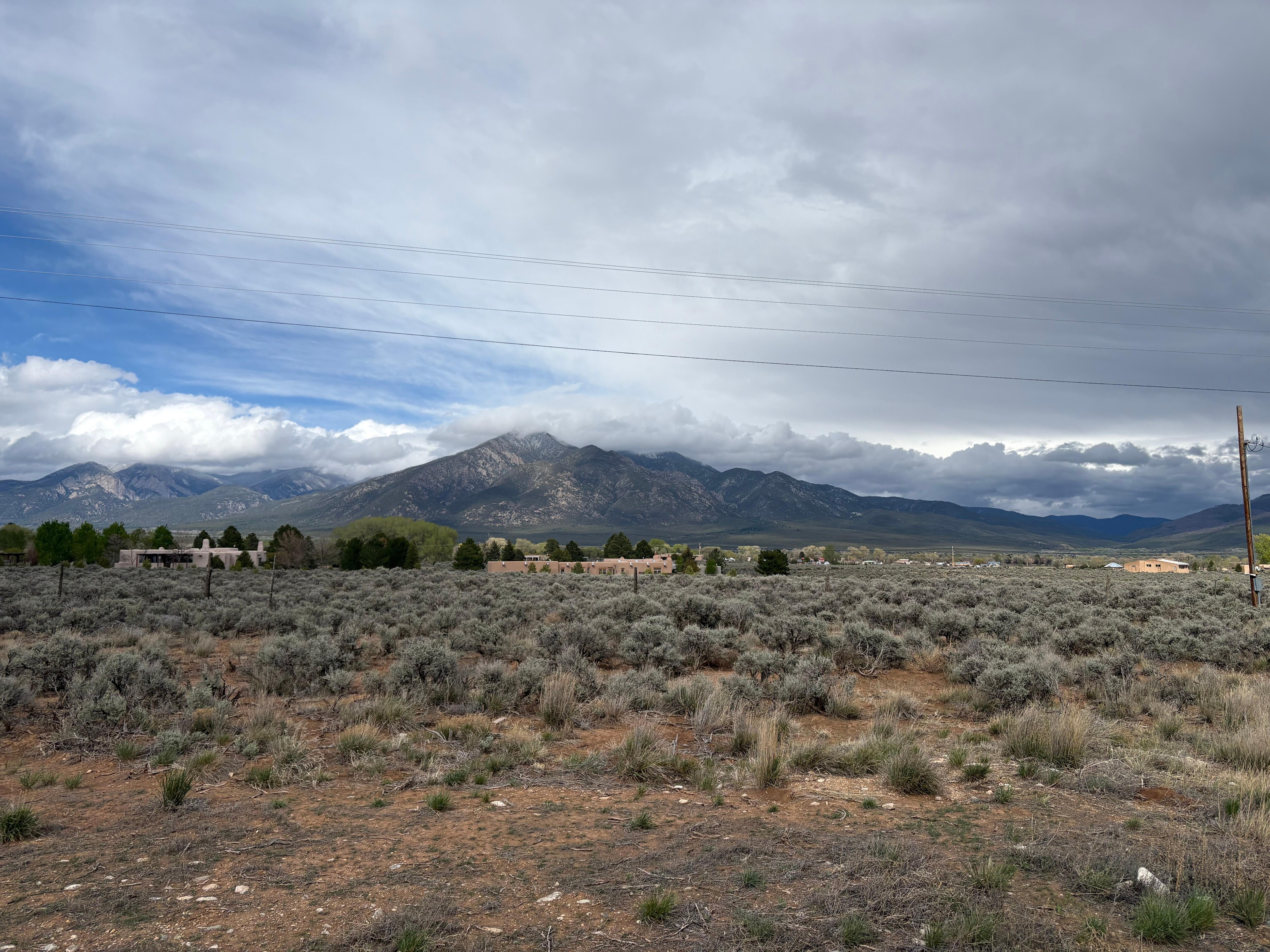View from the back patio 