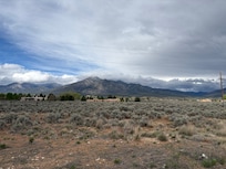 View from the back patio