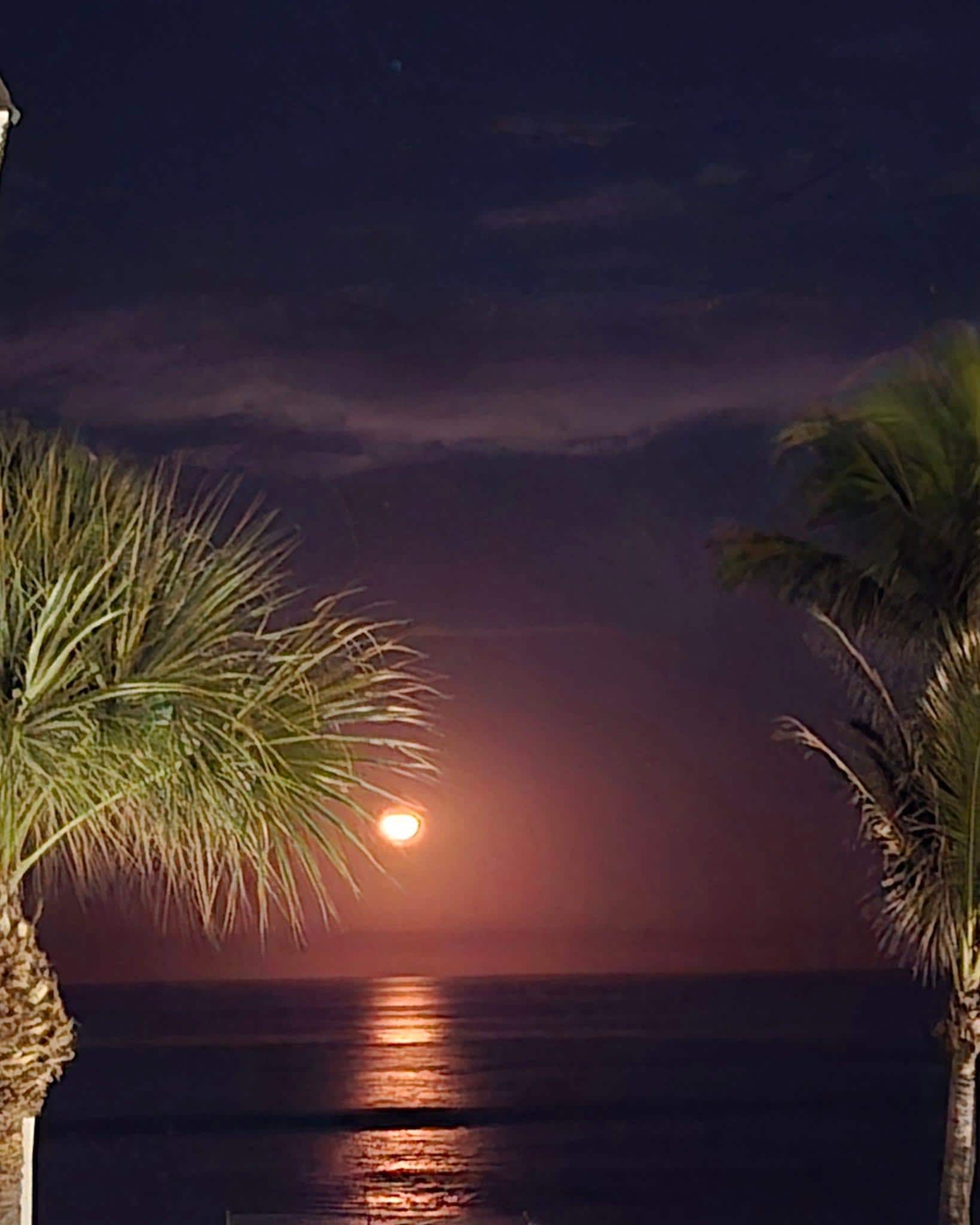 Direct Ocean View- Heated Pool- New Wrap Around Balcony - Beautiful view of the moon rising from our Master Bedroom - Indialantic, Florida