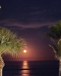 Direct Ocean View- Heated Pool- New Wrap Around Balcony - Beautiful view of the moon rising from our Master Bedroom - Indialantic, Florida