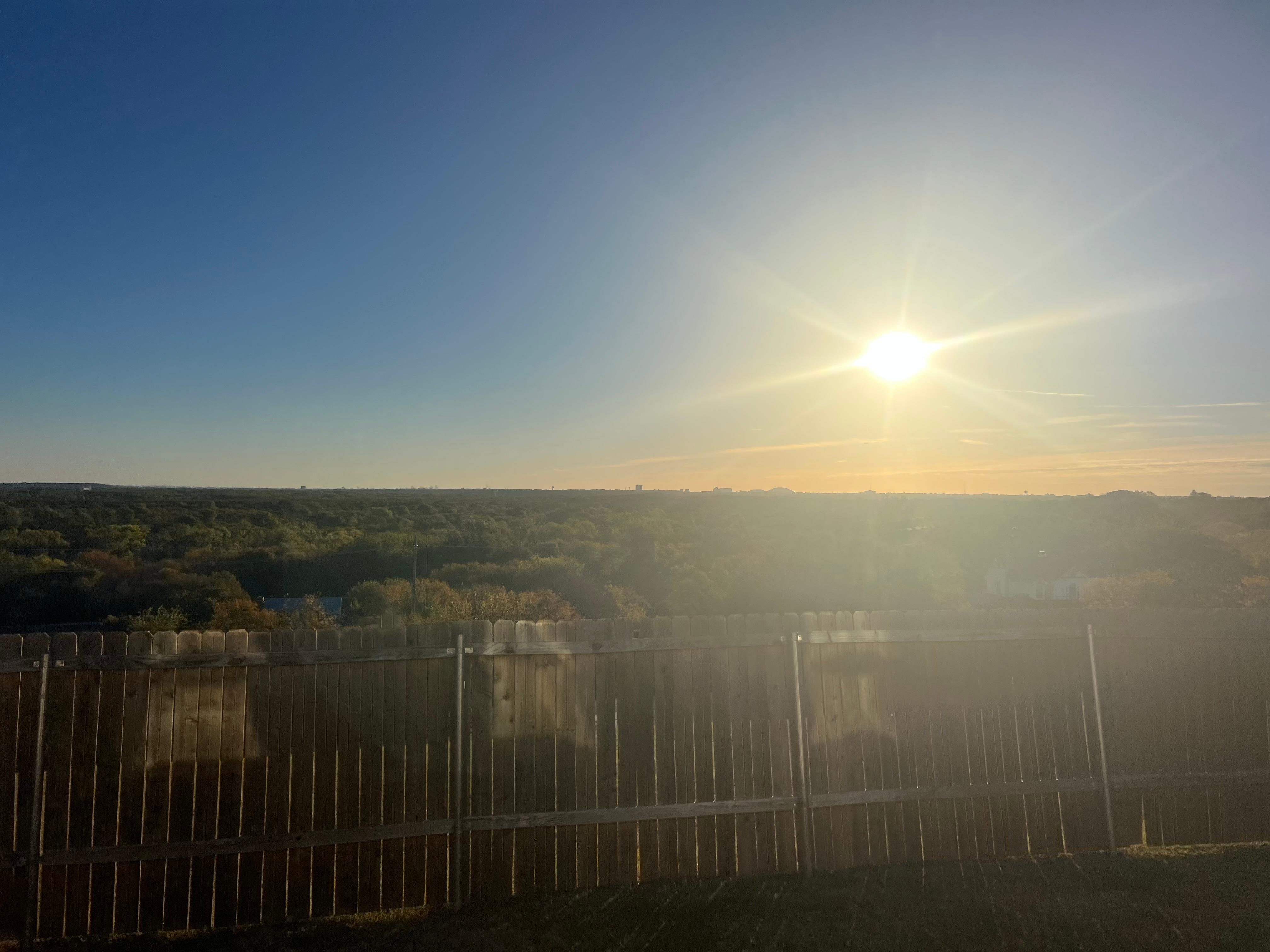 View from the backyard! 