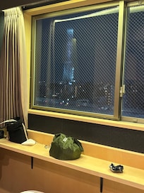 チェックイン時の夕方、部屋からの眺め。11階