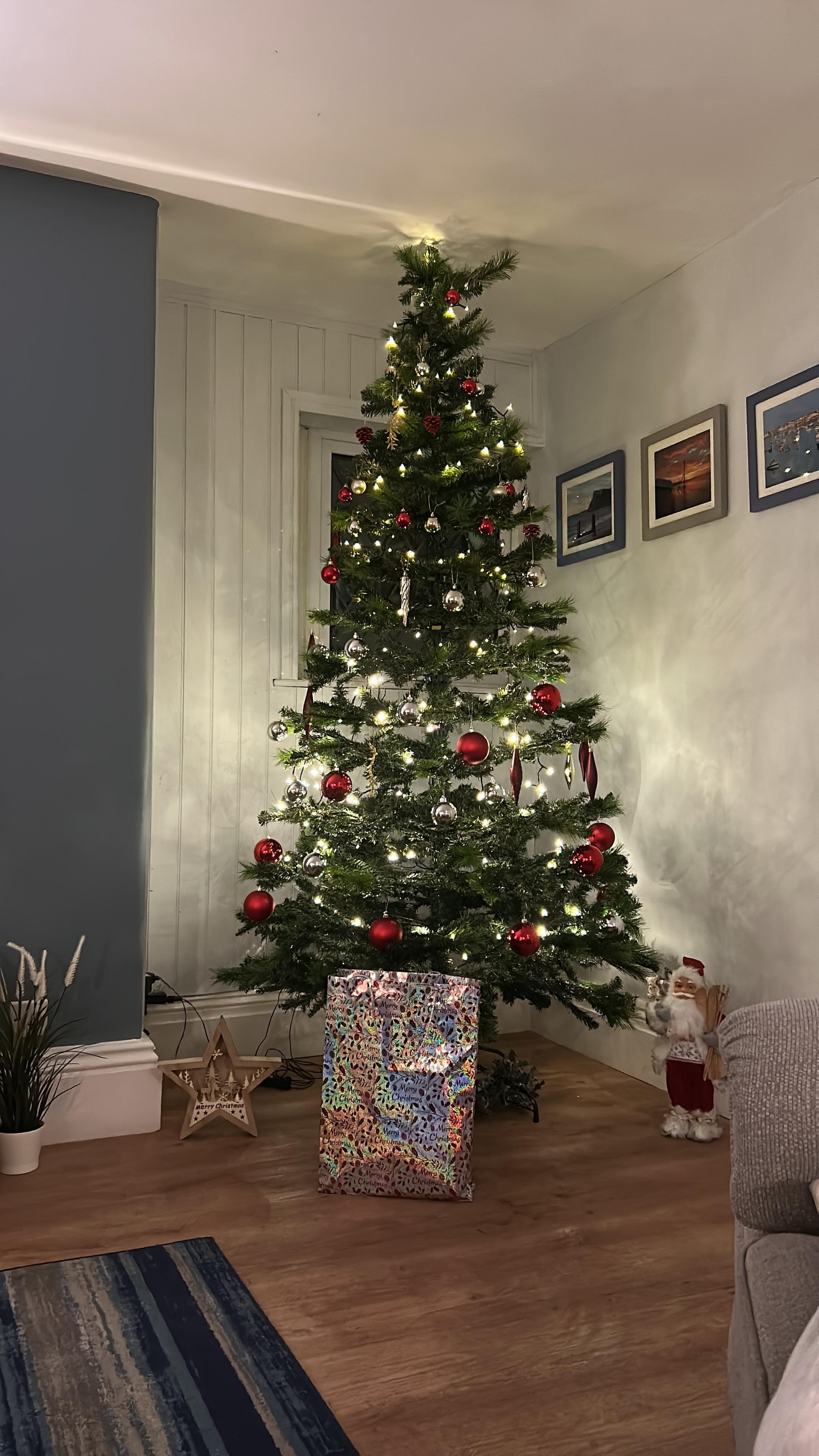 The Christmas decorations were so lovely!